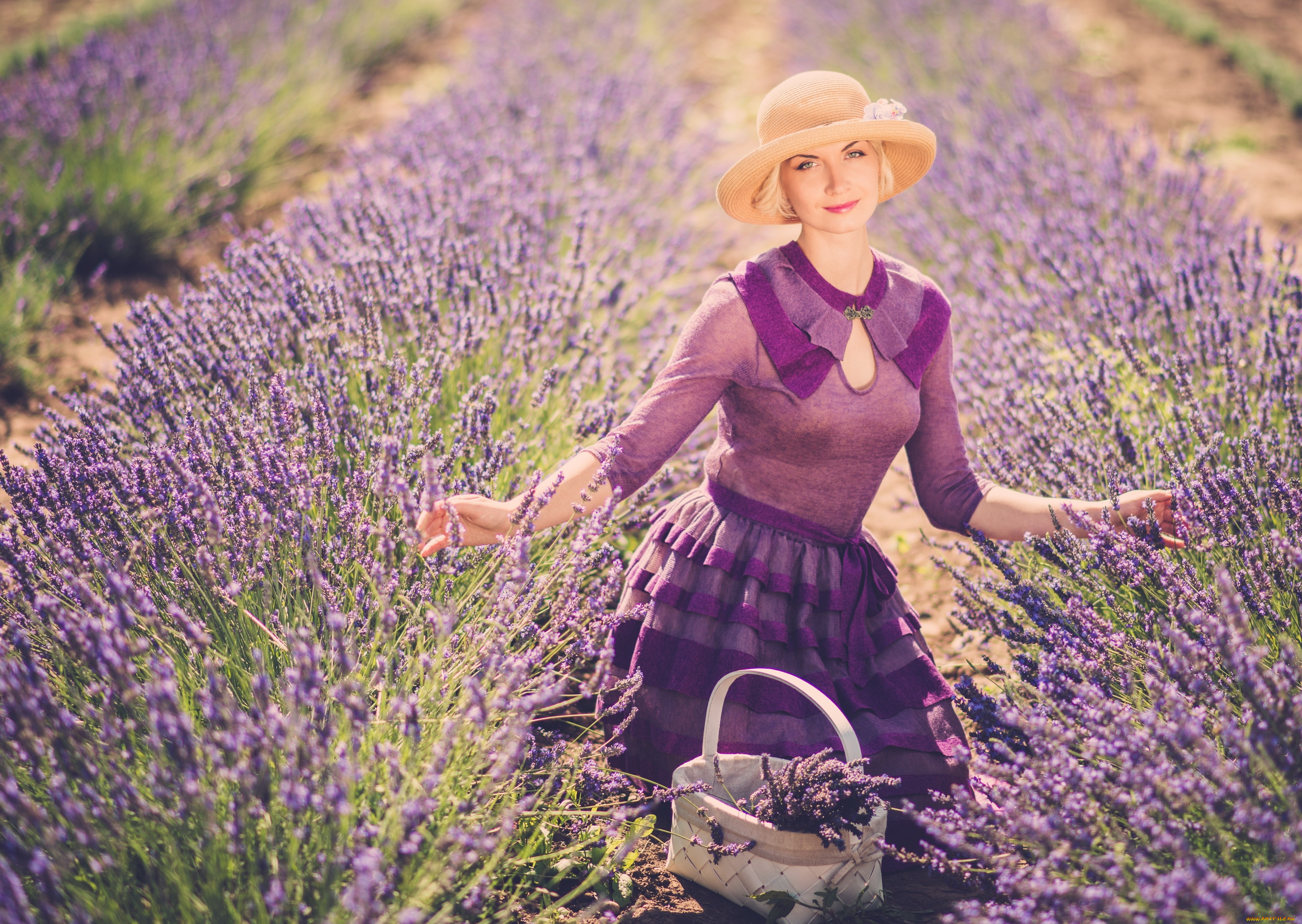 девушки, -unsort, , блондинки, девушка, блондинка, взгляд, шляпка, лаванда, цветы, корзинка