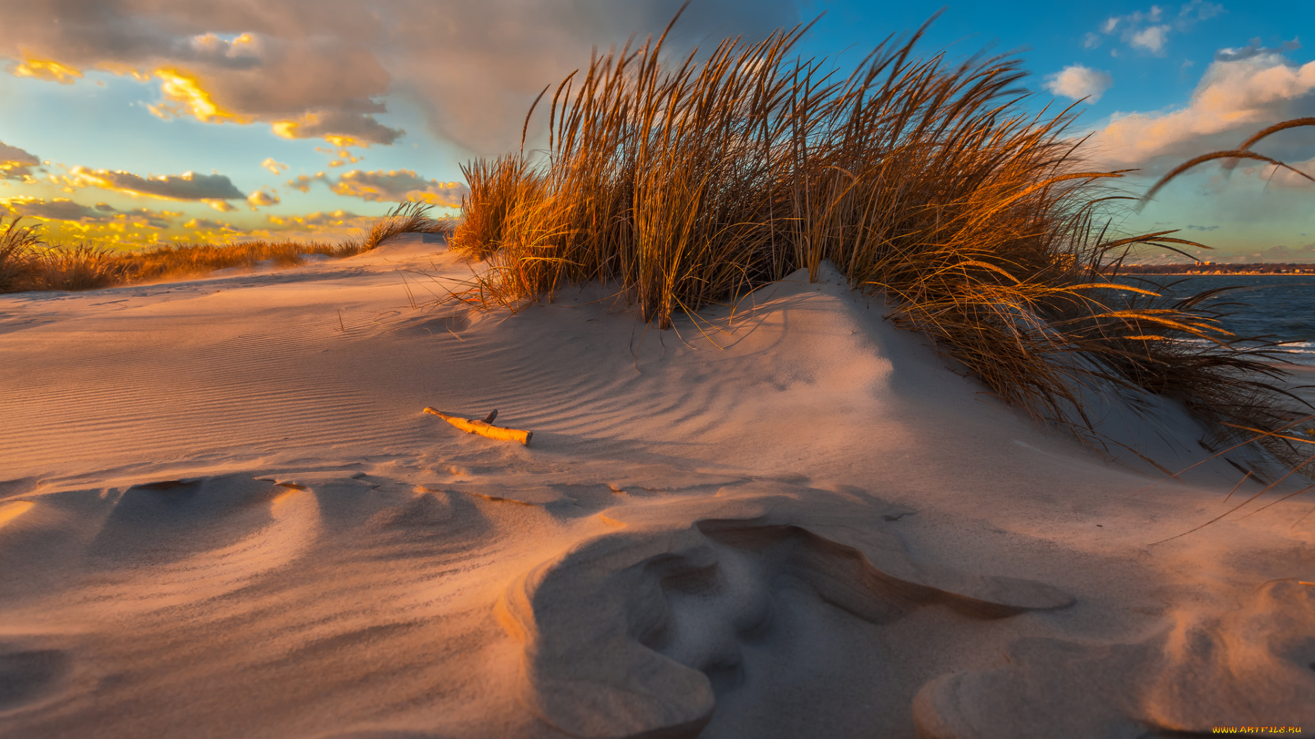 природа, побережье, дюны