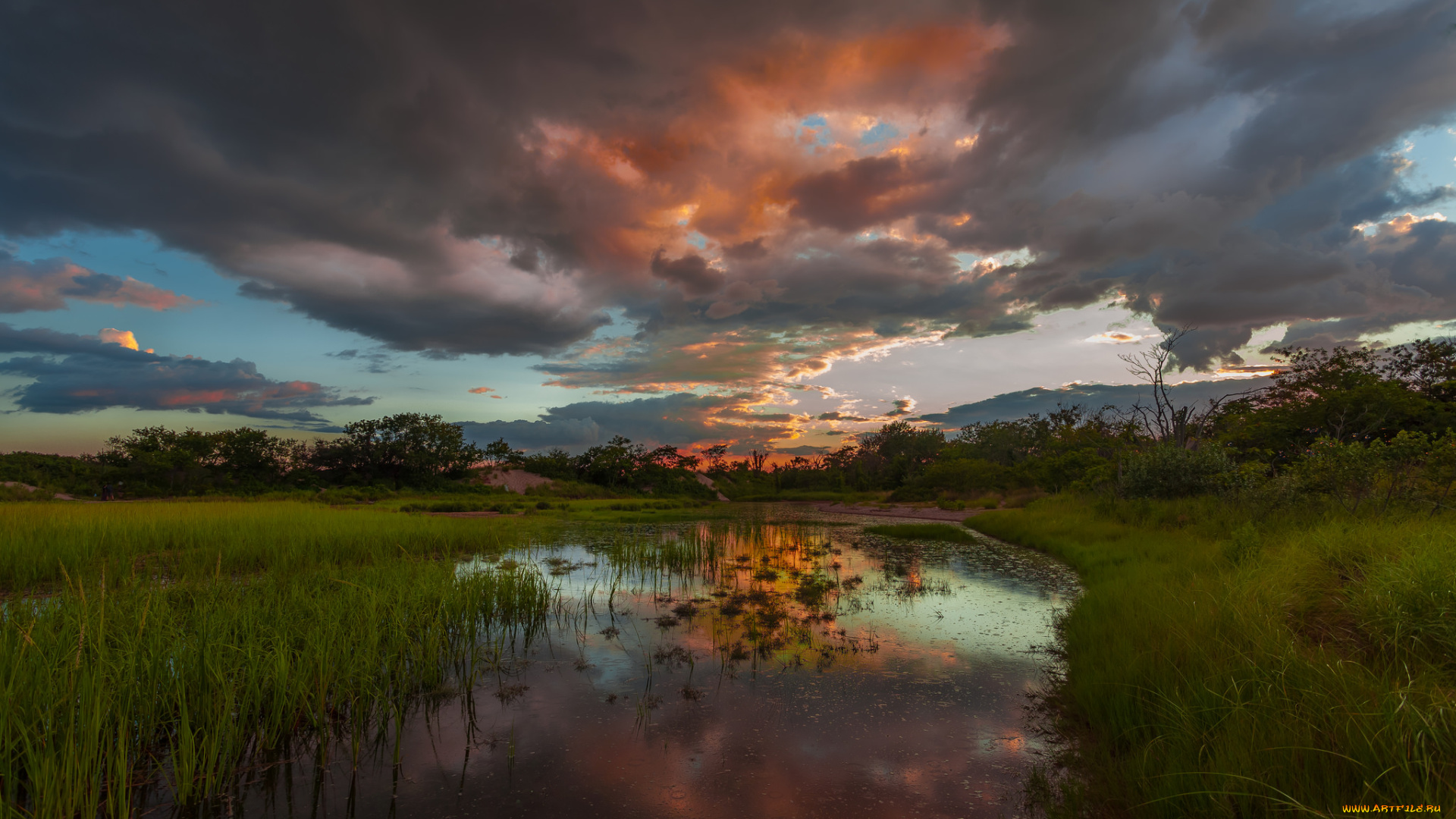 природа, реки, озера, река, лес