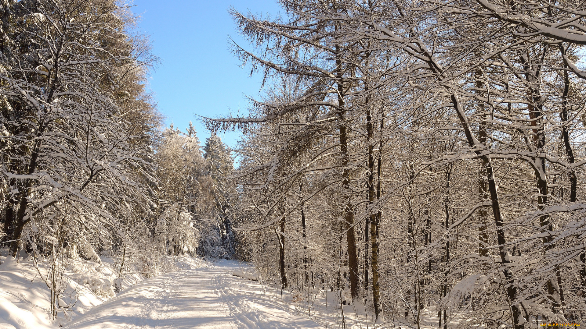 природа, зима, снег