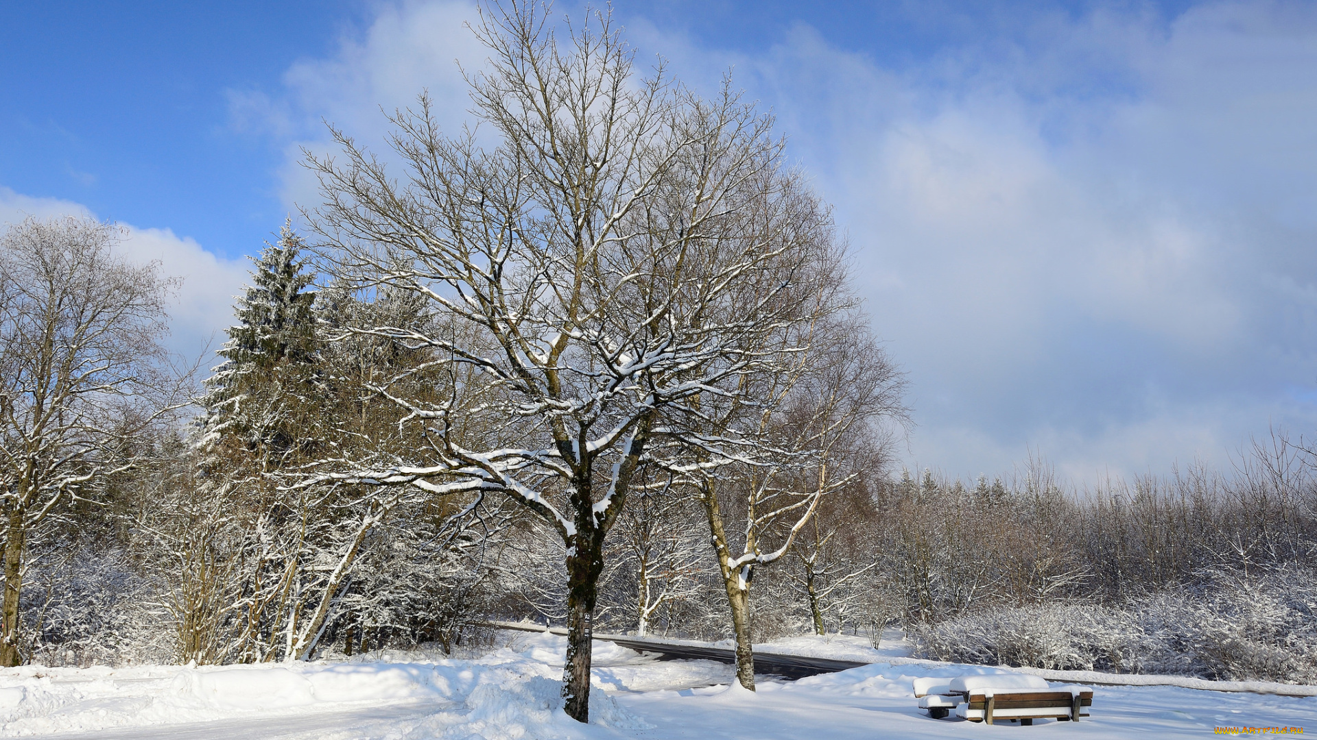 природа, зима, снег