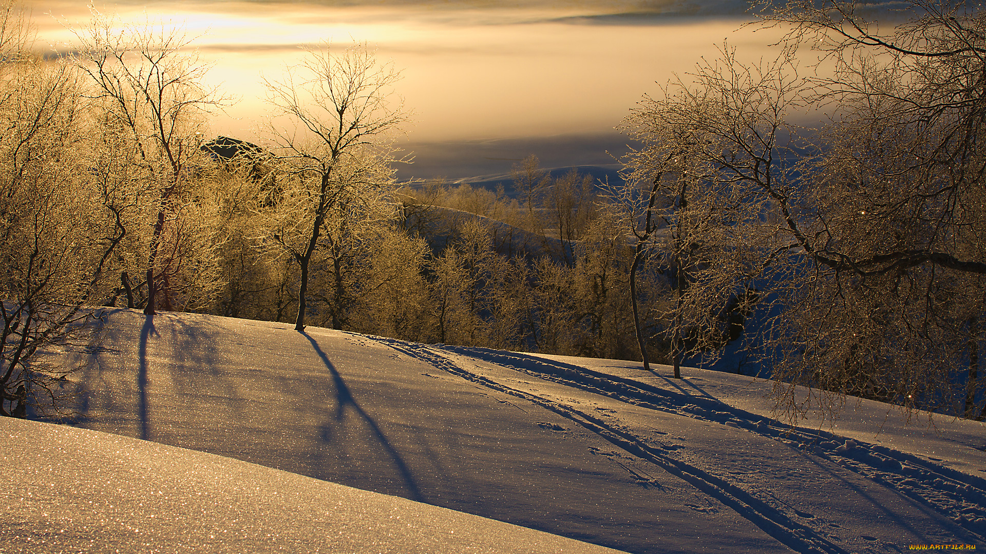 природа, зима, снег