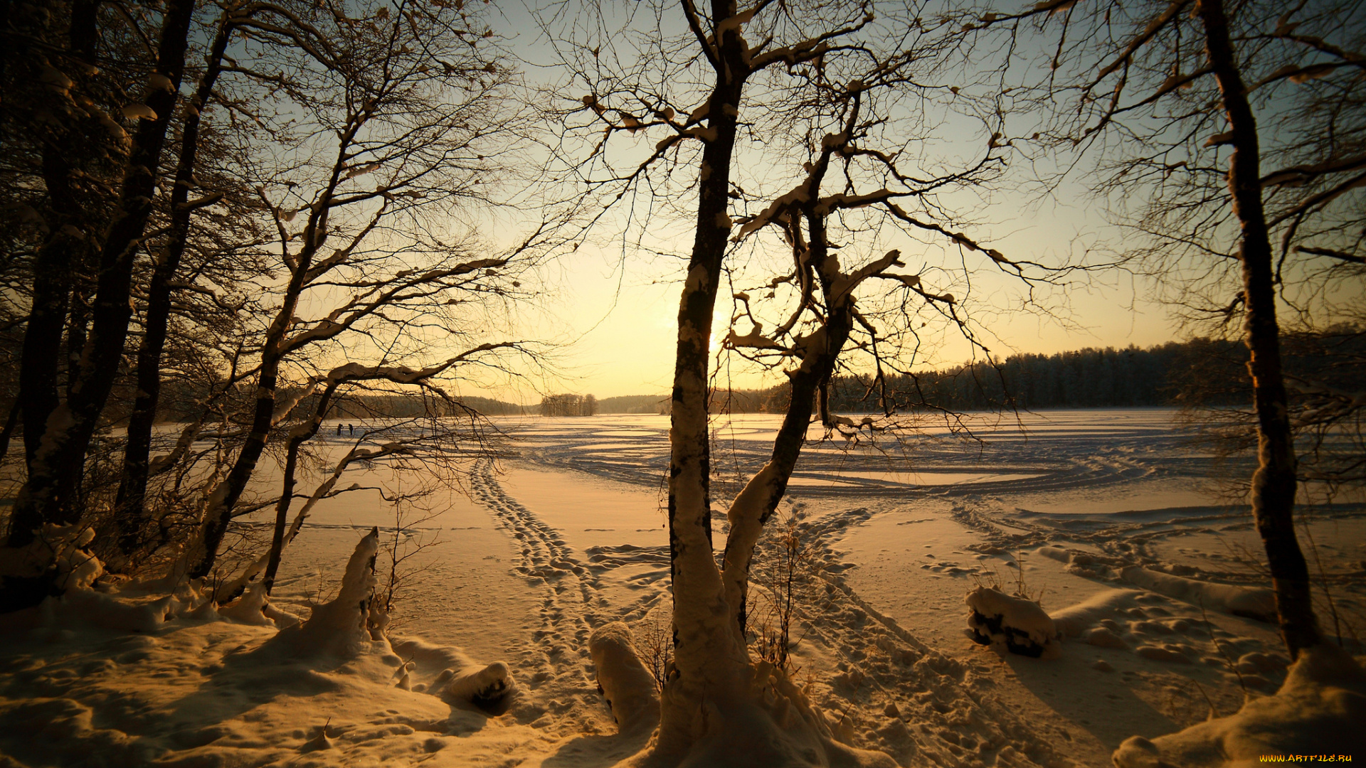 природа, зима, снег