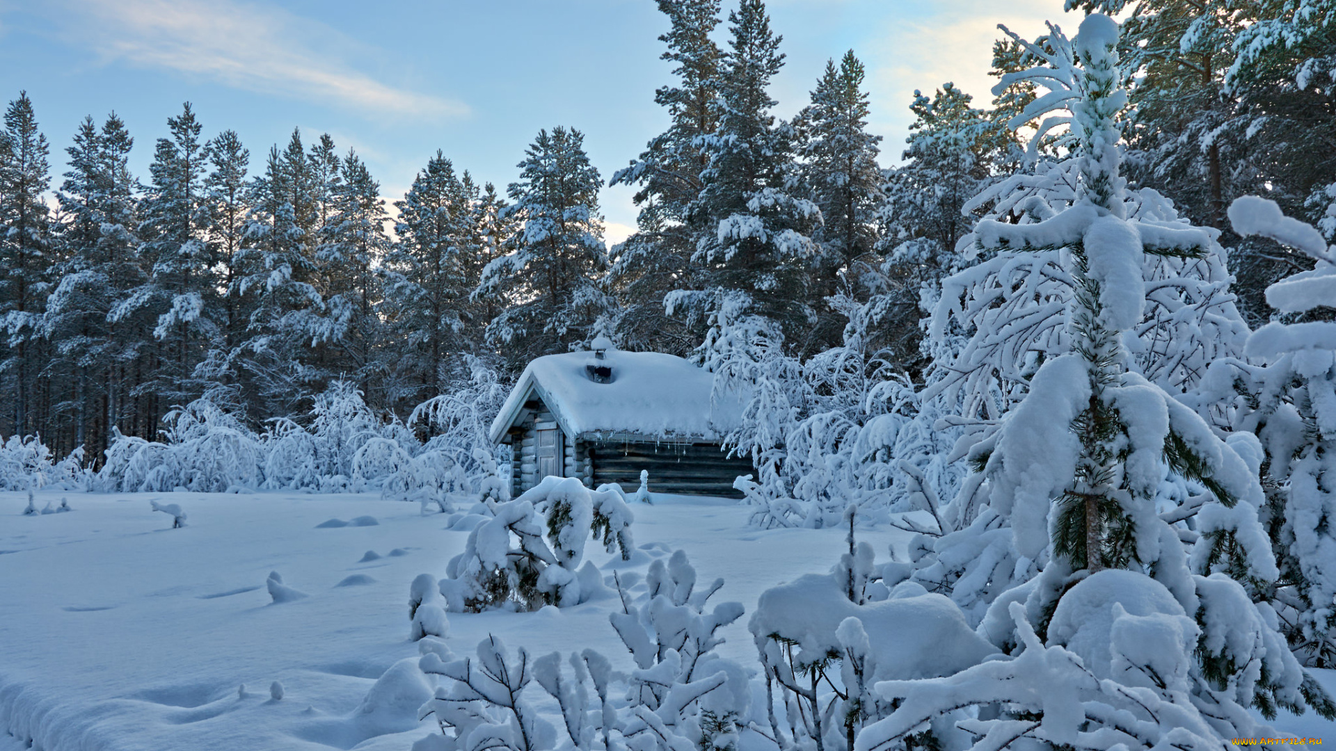 природа, зима, снег