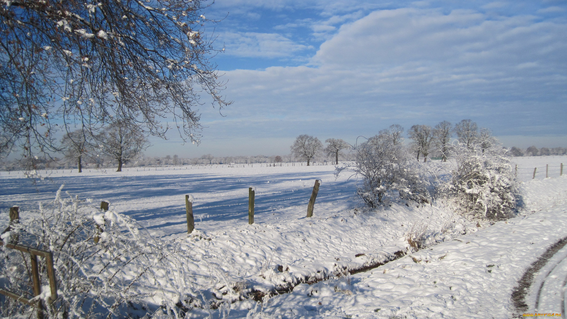 природа, зима, снег