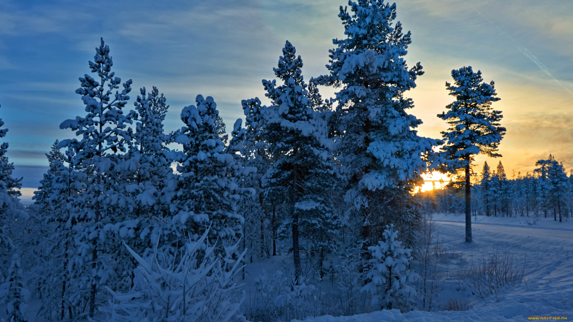 природа, зима, снег