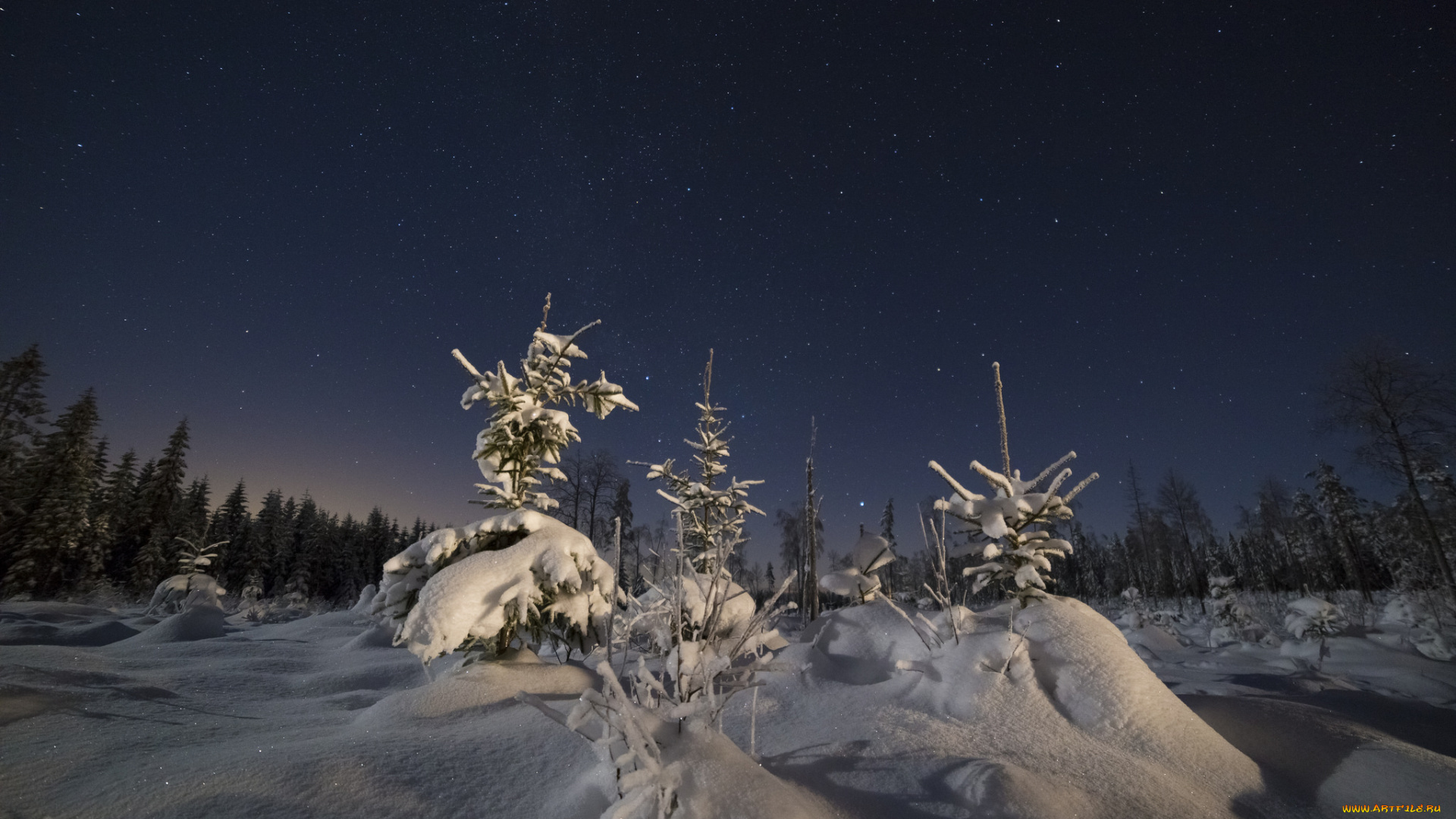 природа, зима, снег