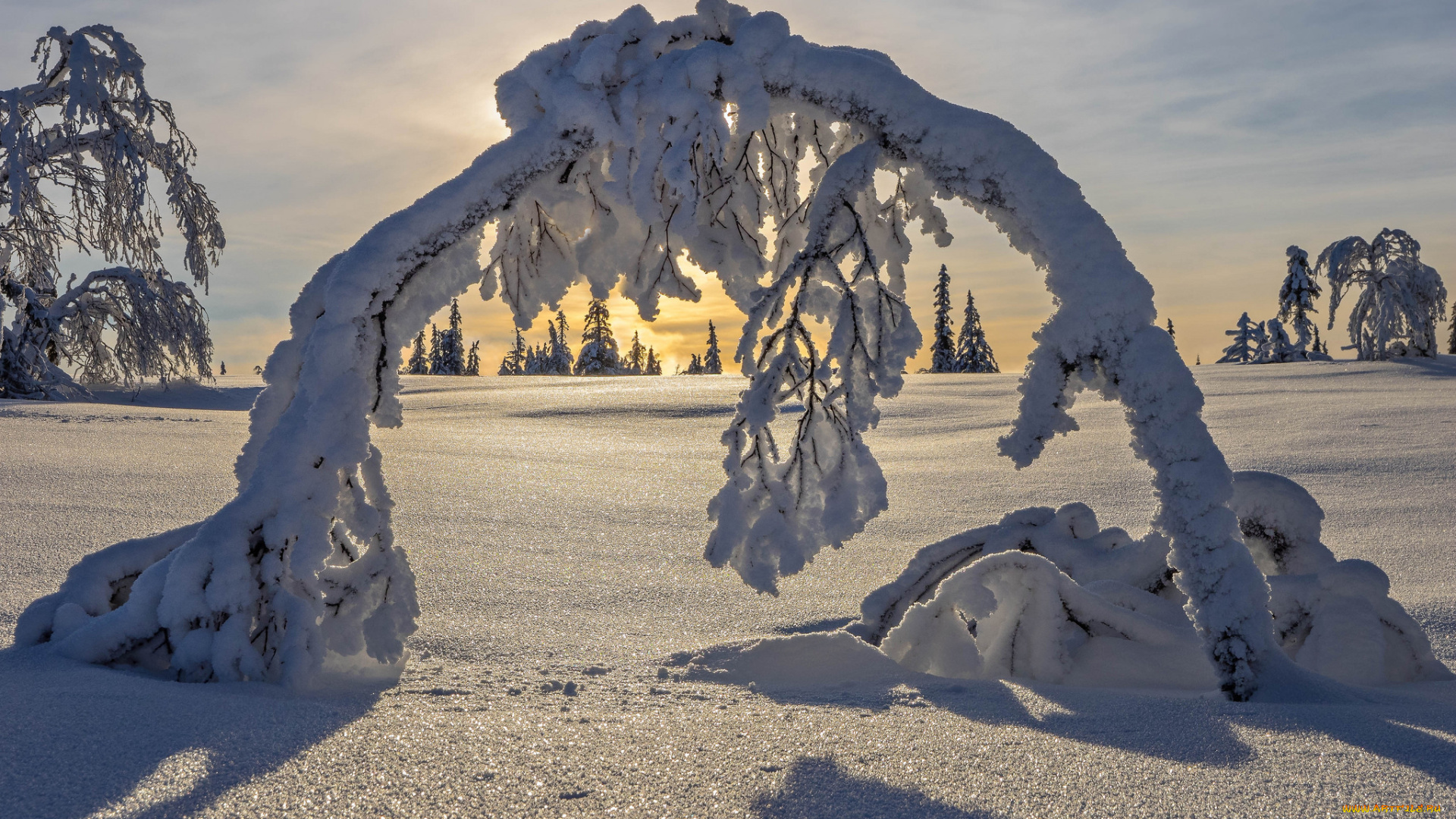 природа, зима, снег