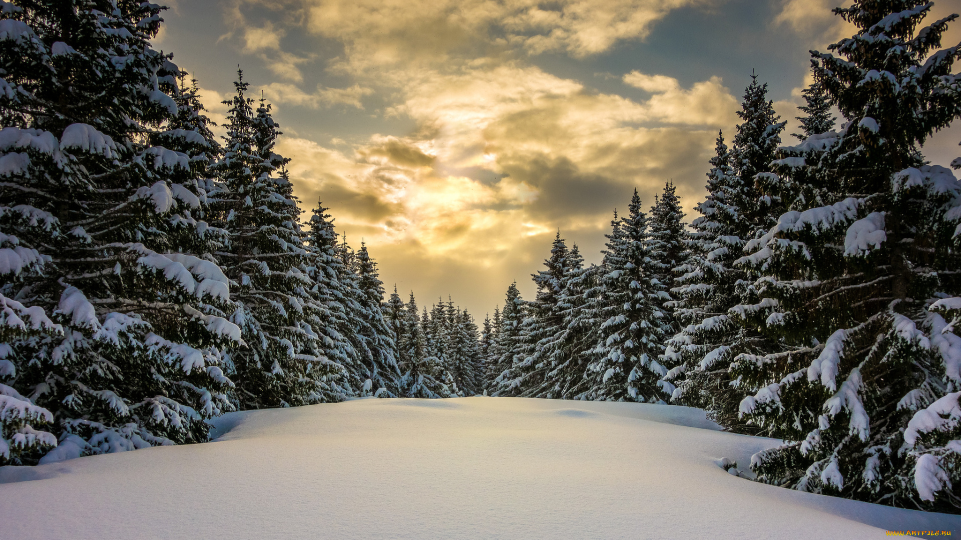 природа, зима, снег