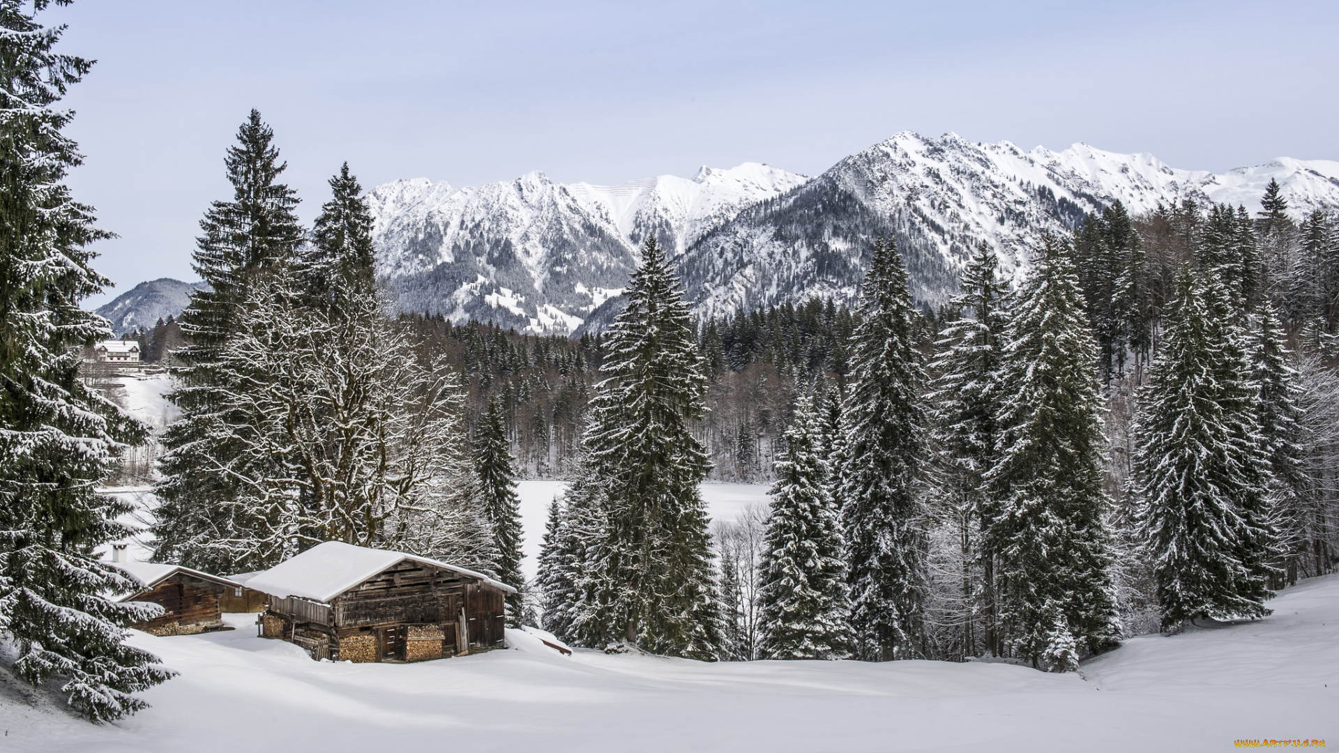 природа, зима, снег