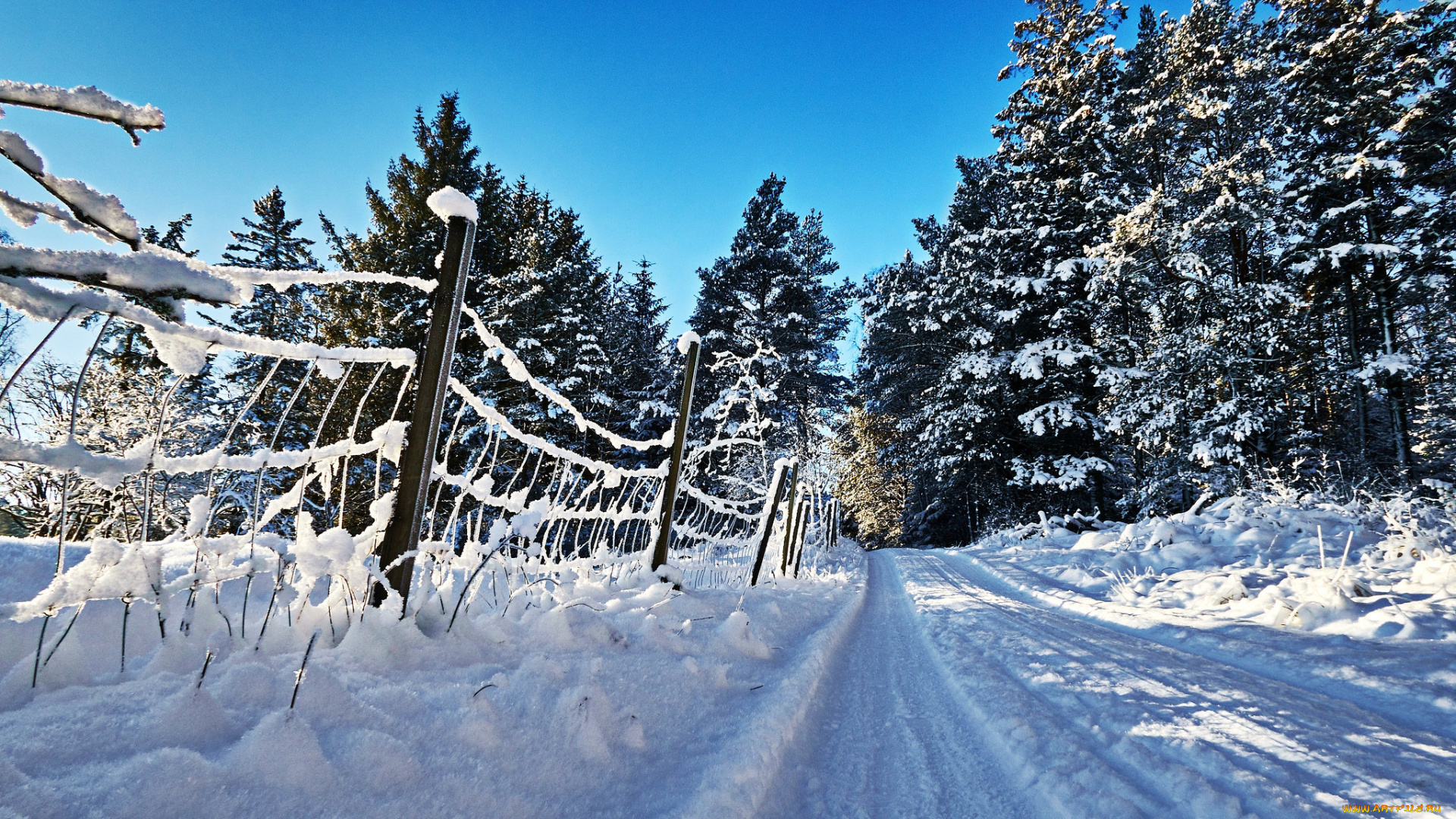 природа, зима, снег