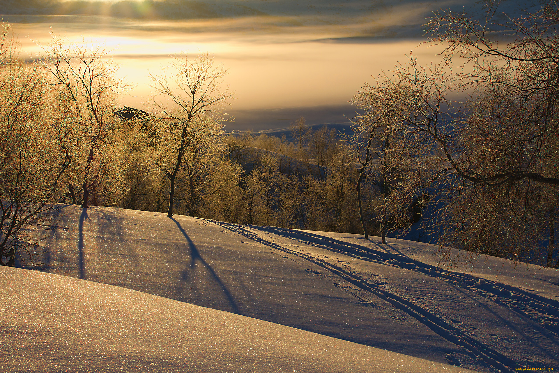 природа, зима, снег