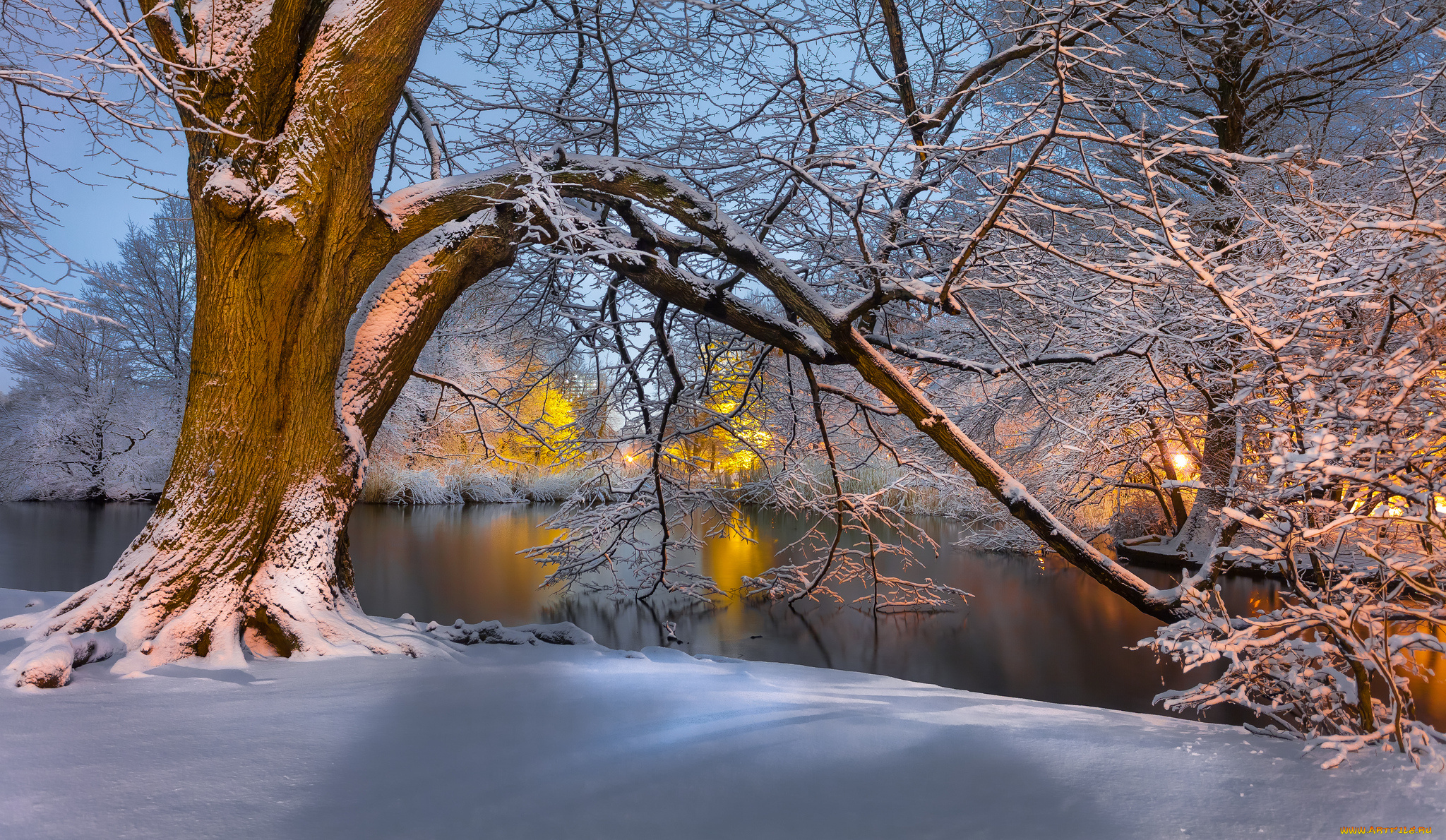 природа, зима, лес, река