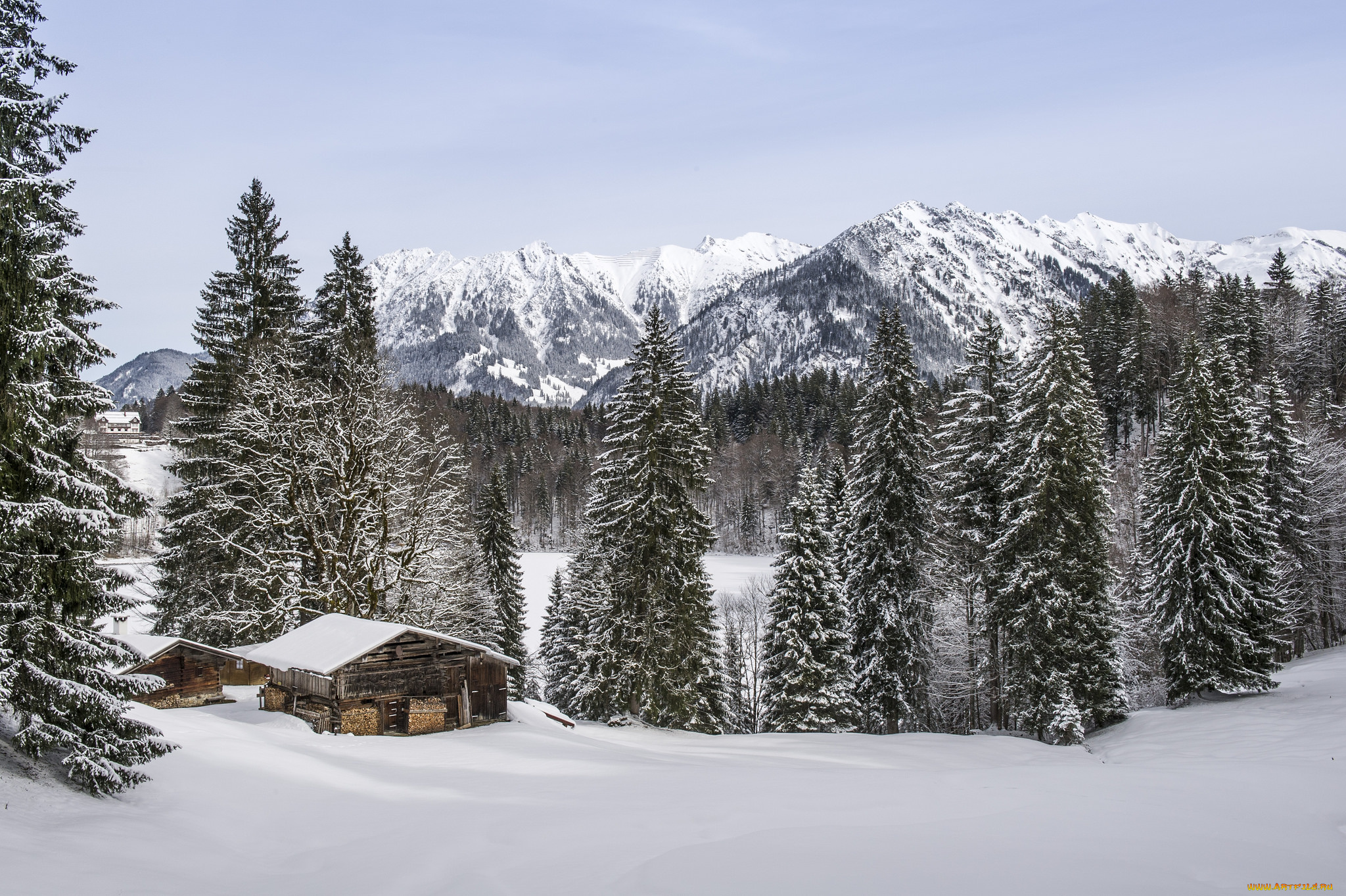 природа, зима, снег