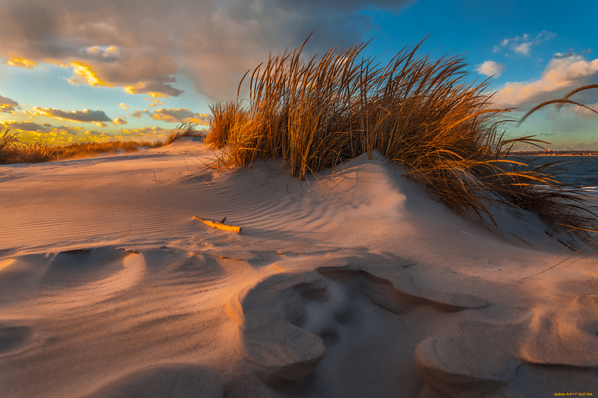 природа, побережье, дюны