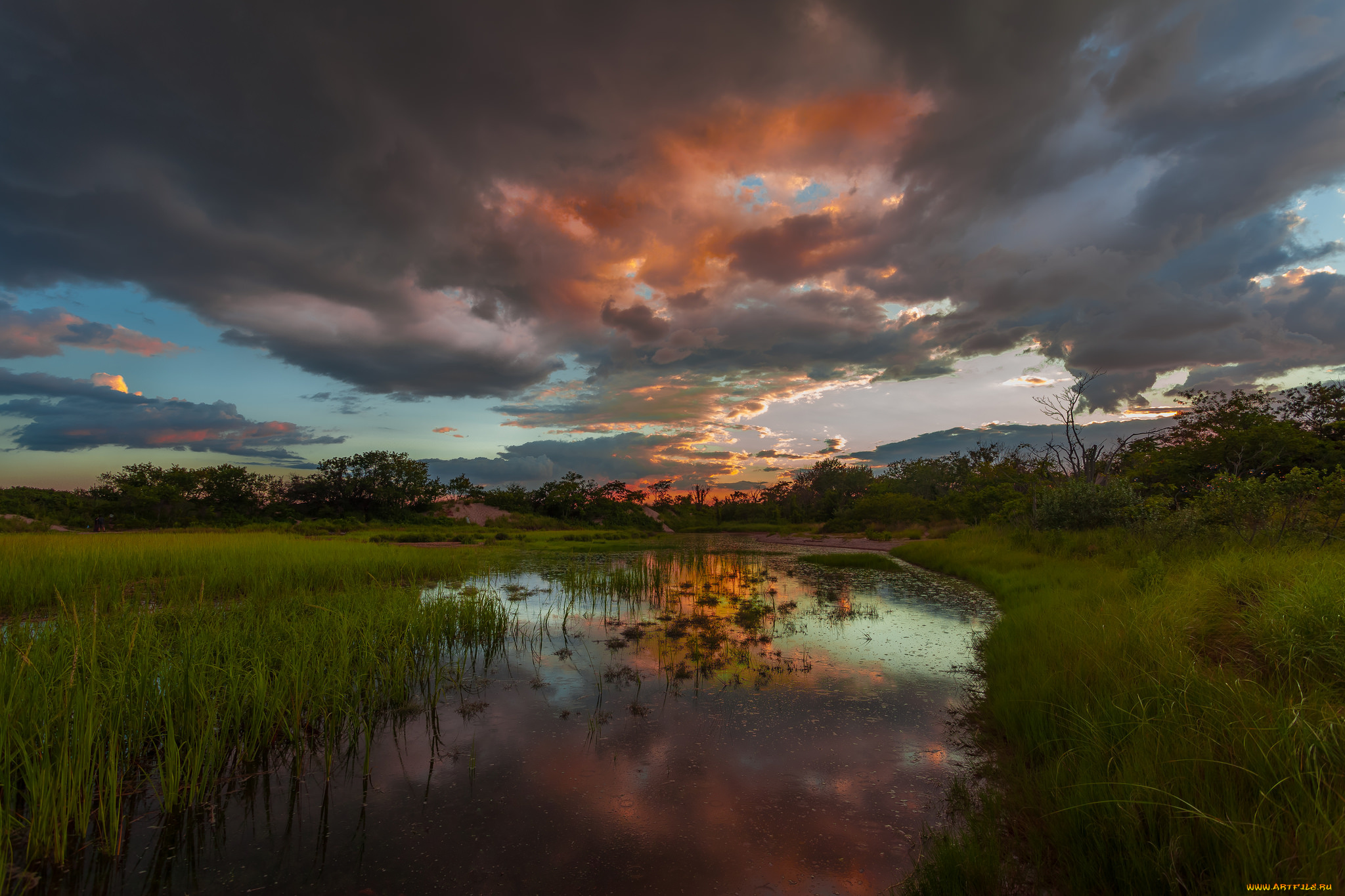 природа, реки, озера, река, лес