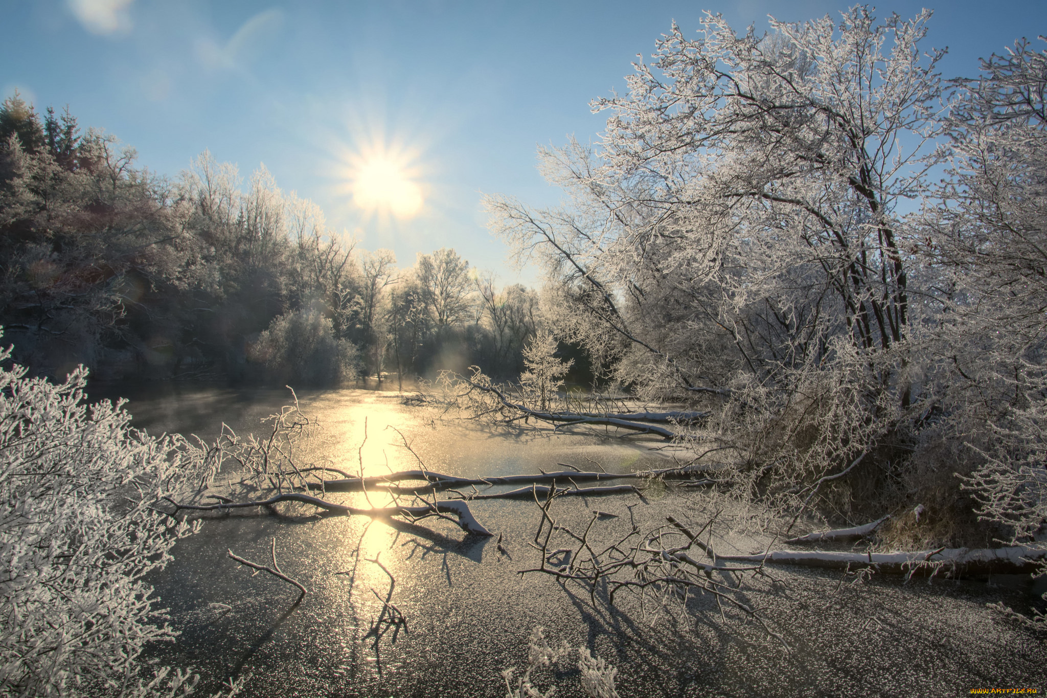 природа, зима, снег