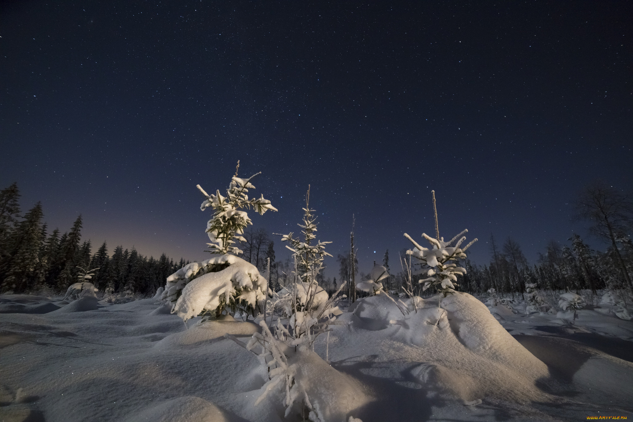 природа, зима, снег