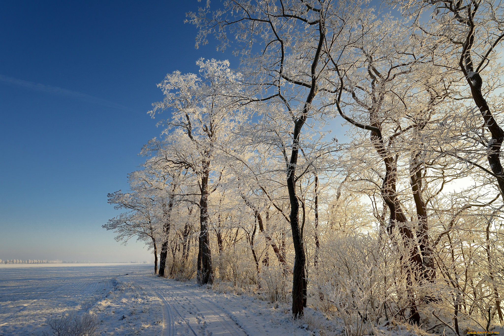 природа, зима, снег