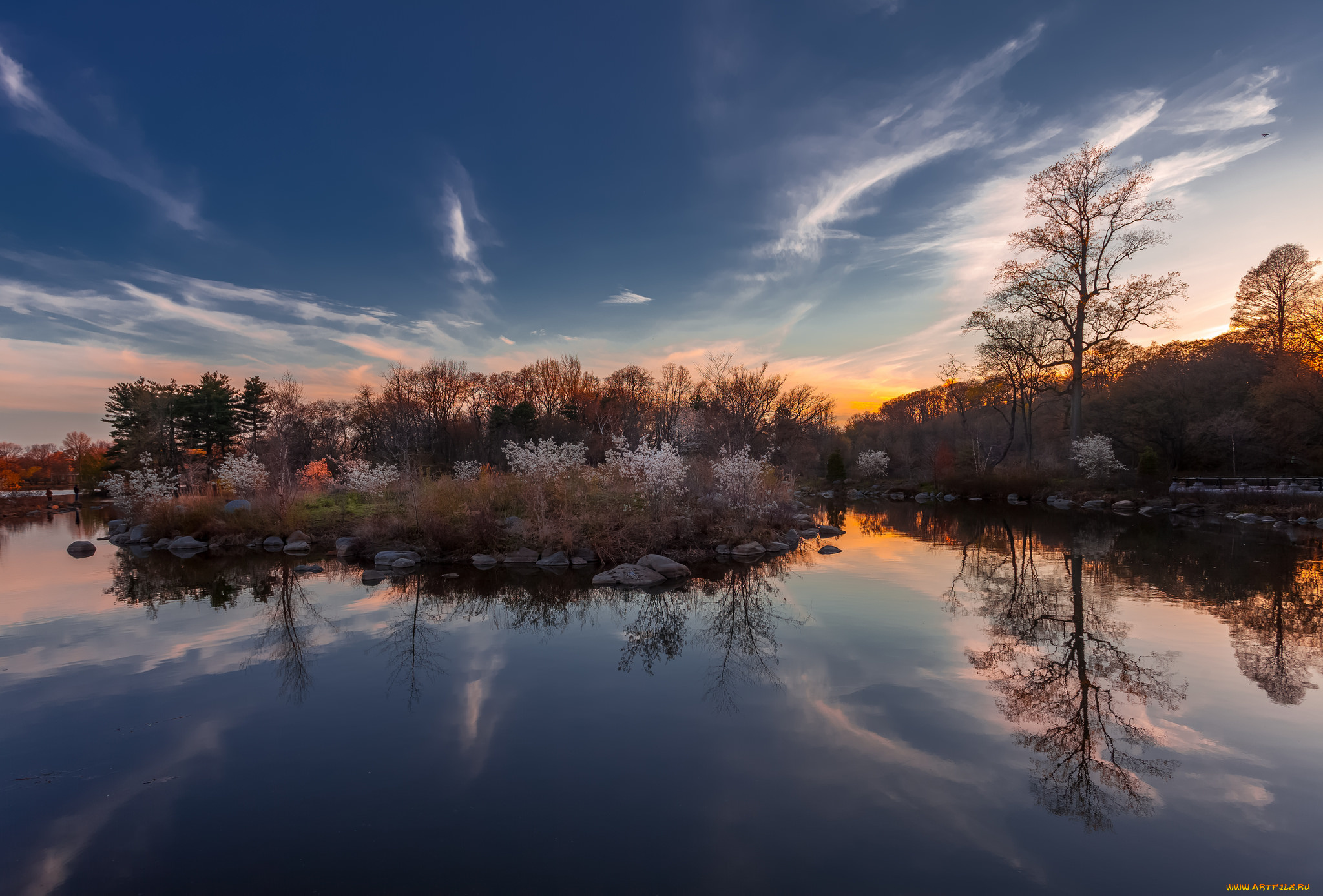 природа, реки, озера, лес, река