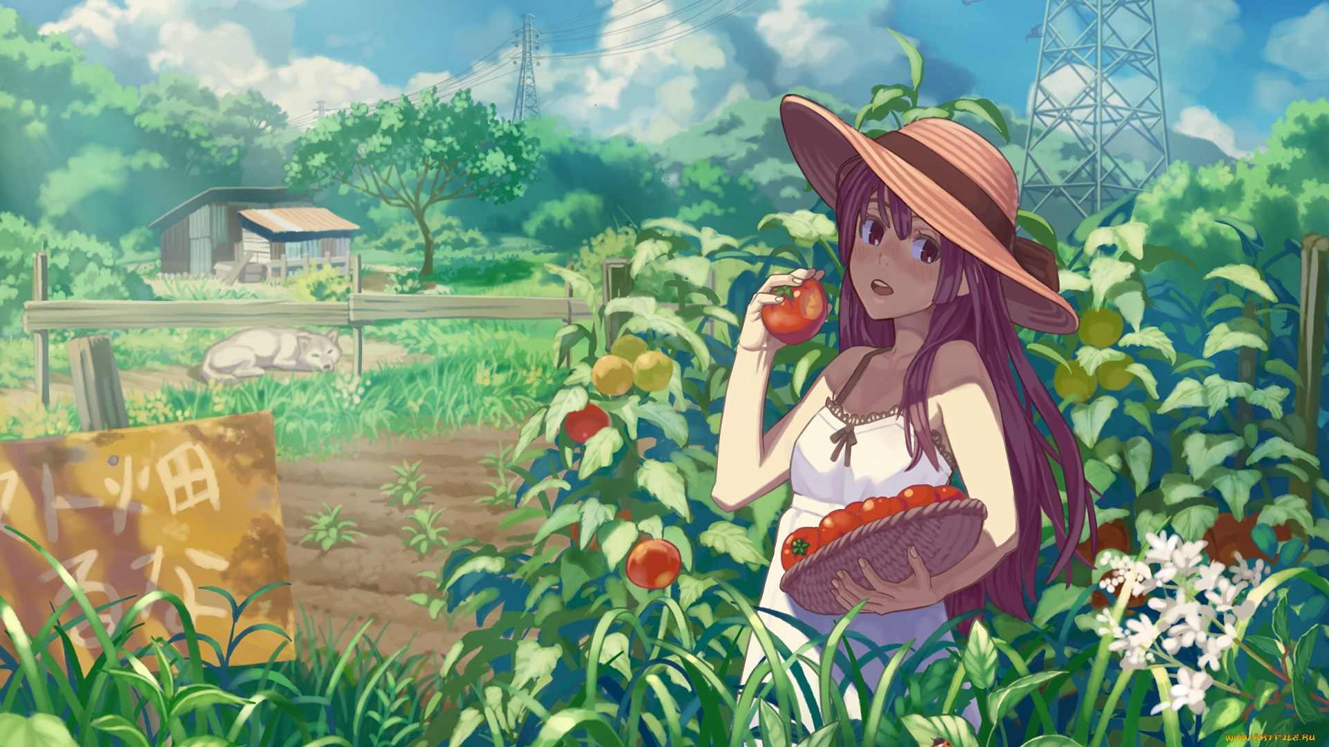 аниме, unknown, , другое, фон, взгляд, девушка