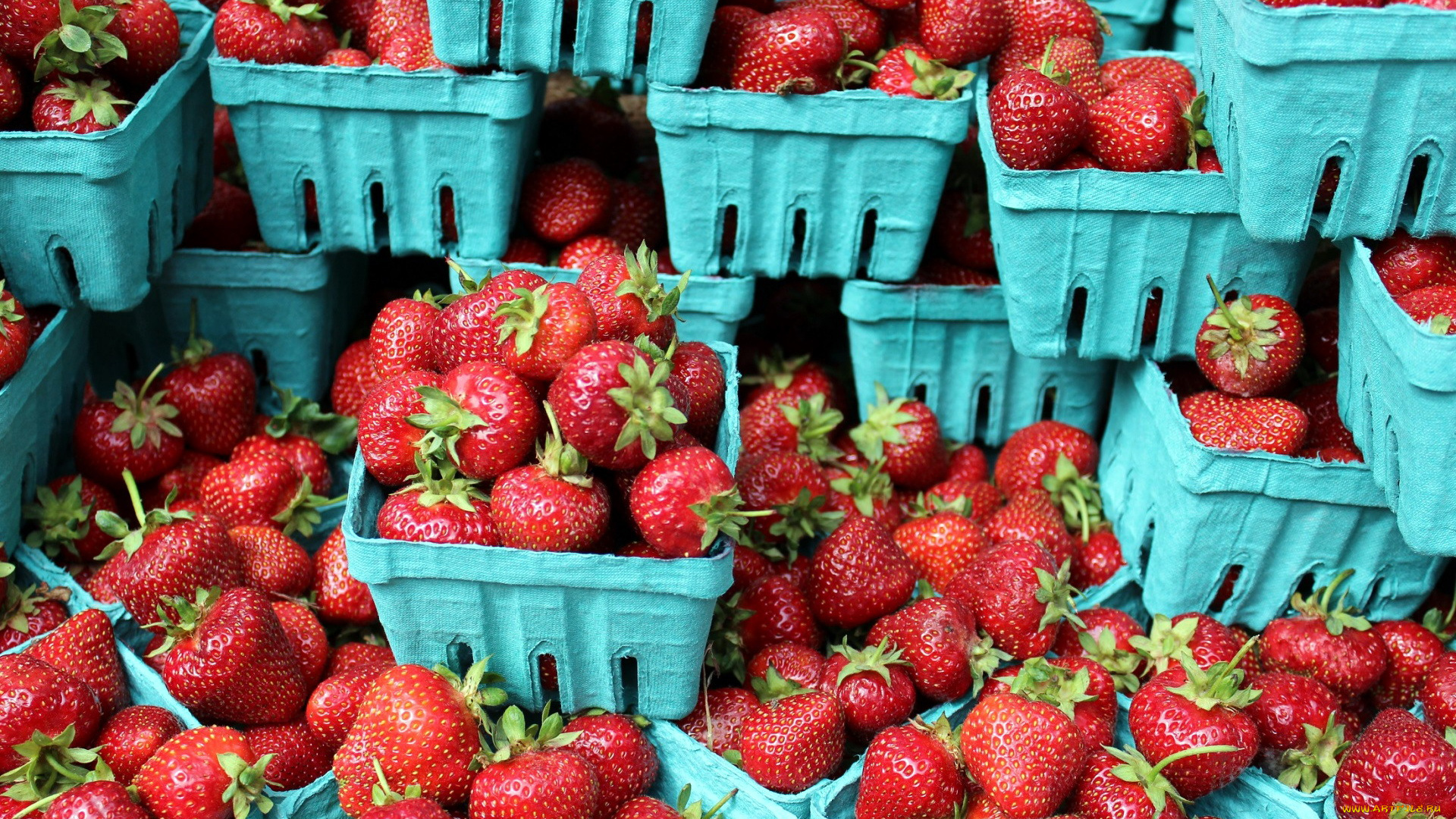 еда, клубника, , земляника, много, ягоды