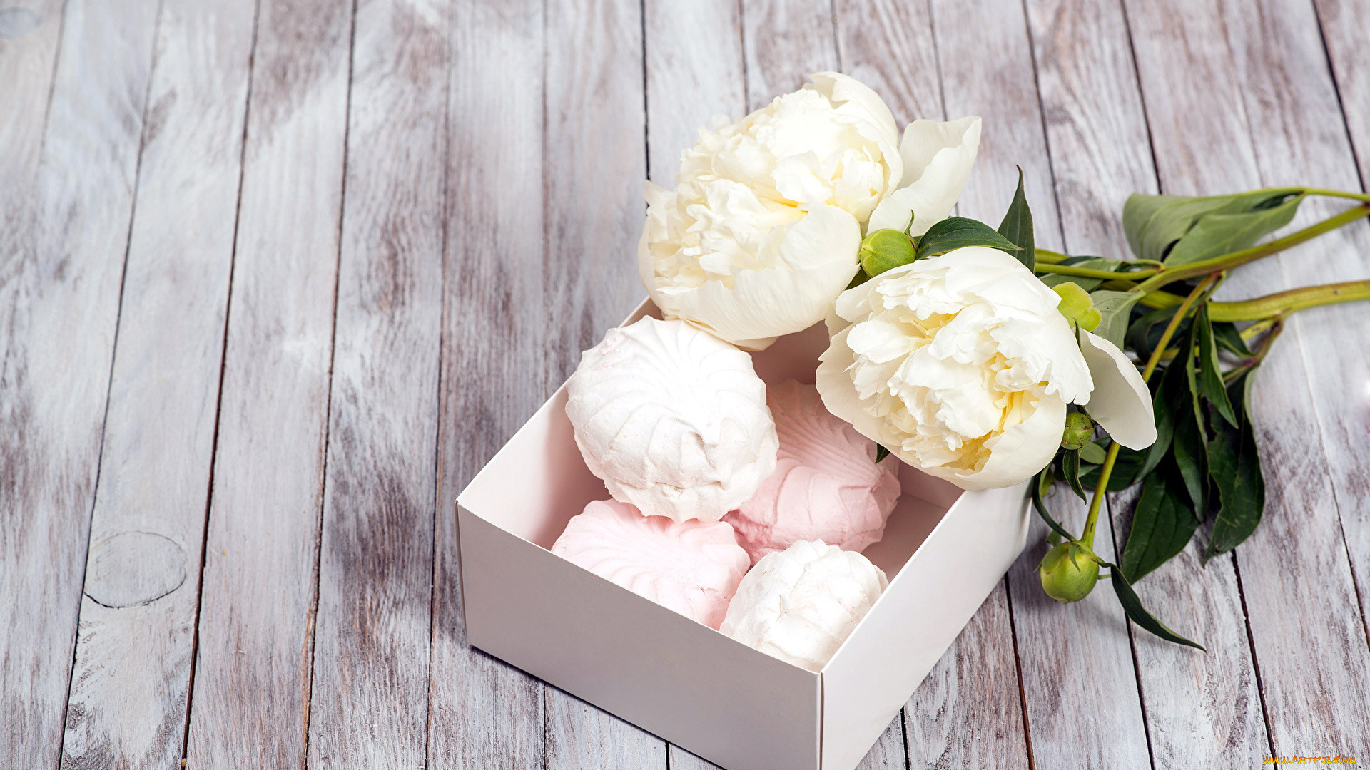 еда, конфеты, , шоколад, , сладости, пионы, зефир