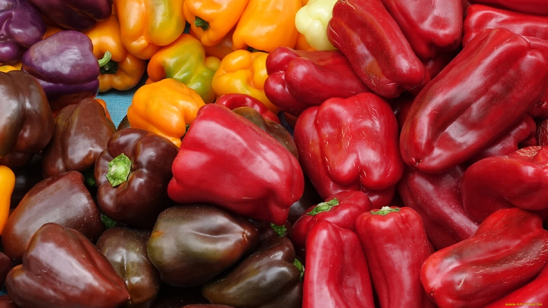 еда, перец, фиолетовый, красный, желтый