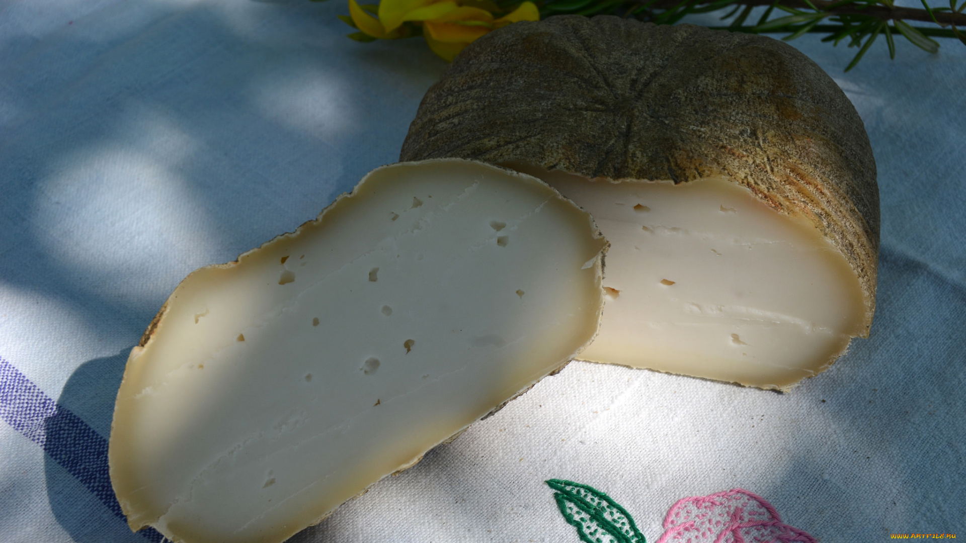 еда, сырные, изделия, сыр