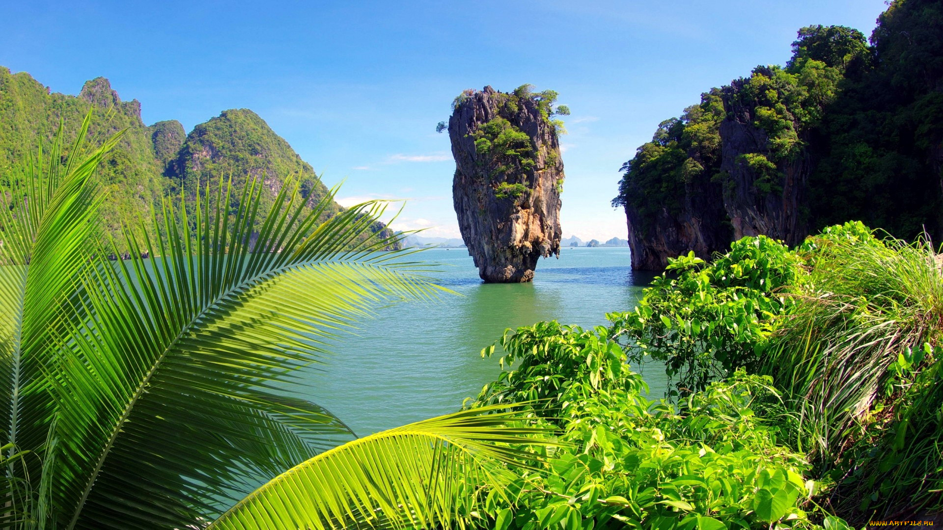 природа, побережье, скалы, море