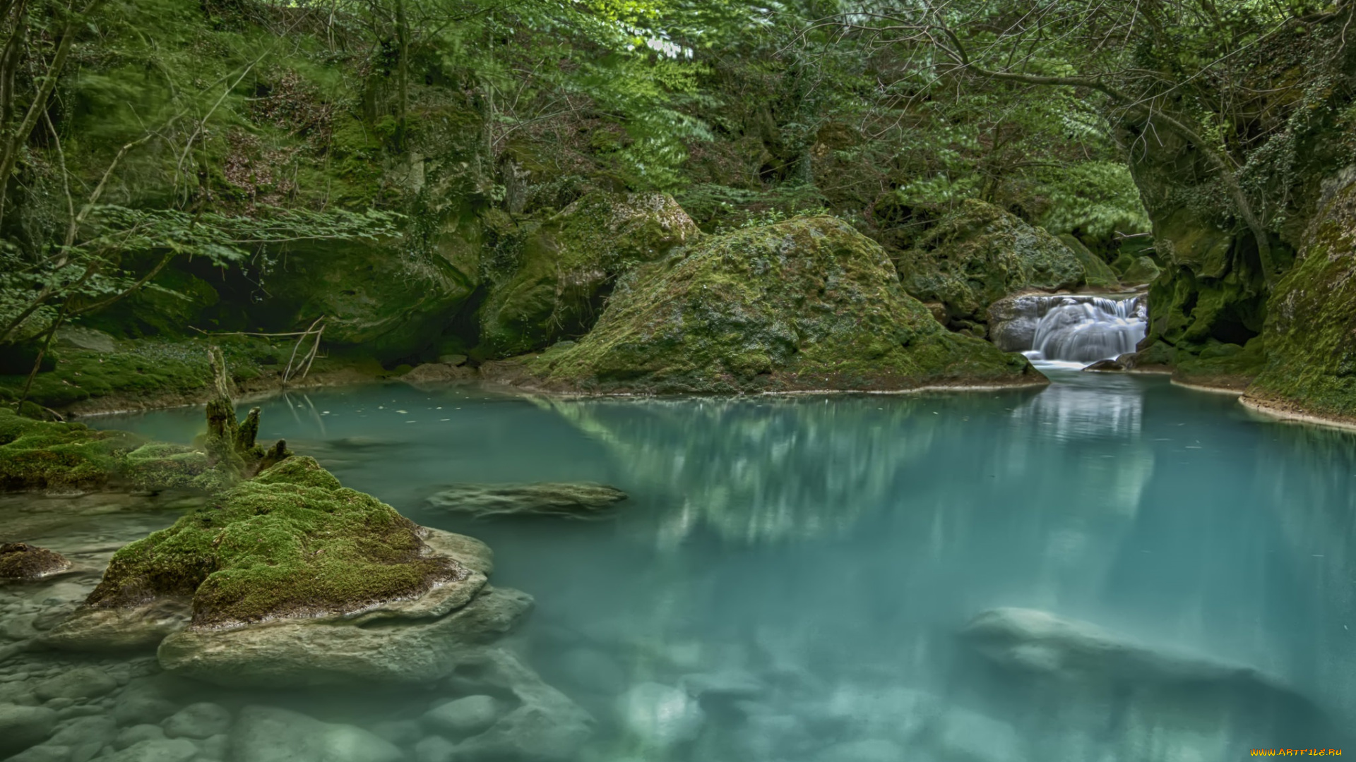 природа, реки, озера, лес, река