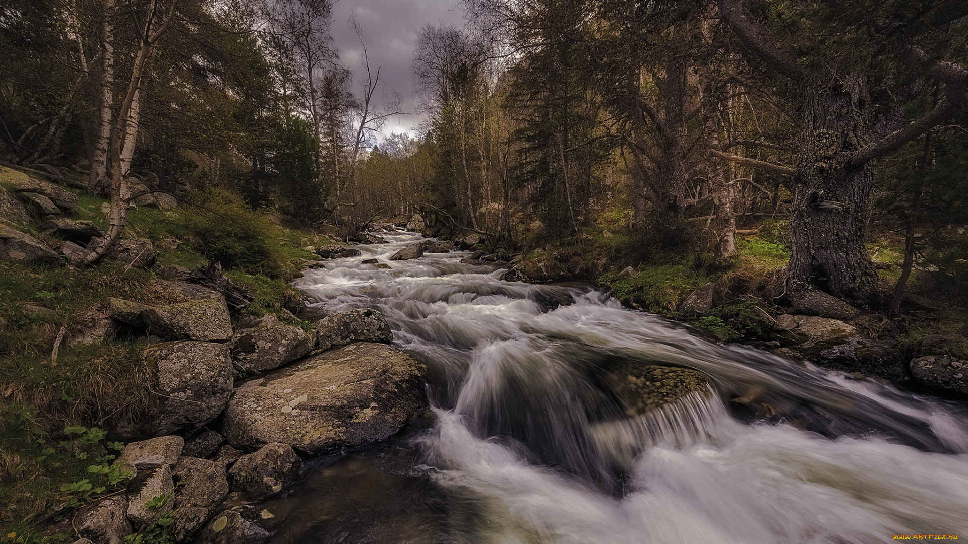 природа, реки, озера, лес, река