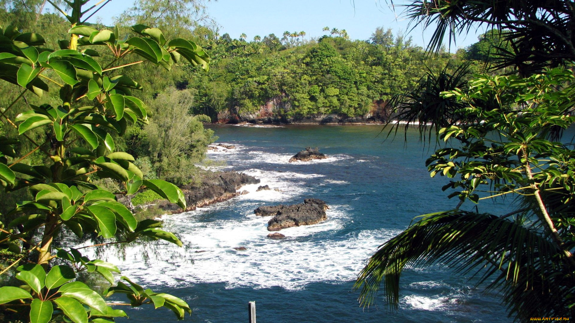 природа, реки, озера, вода, камни