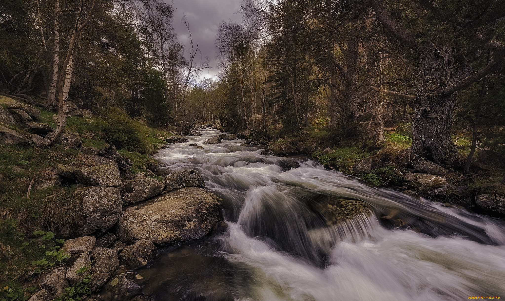 природа, реки, озера, лес, река