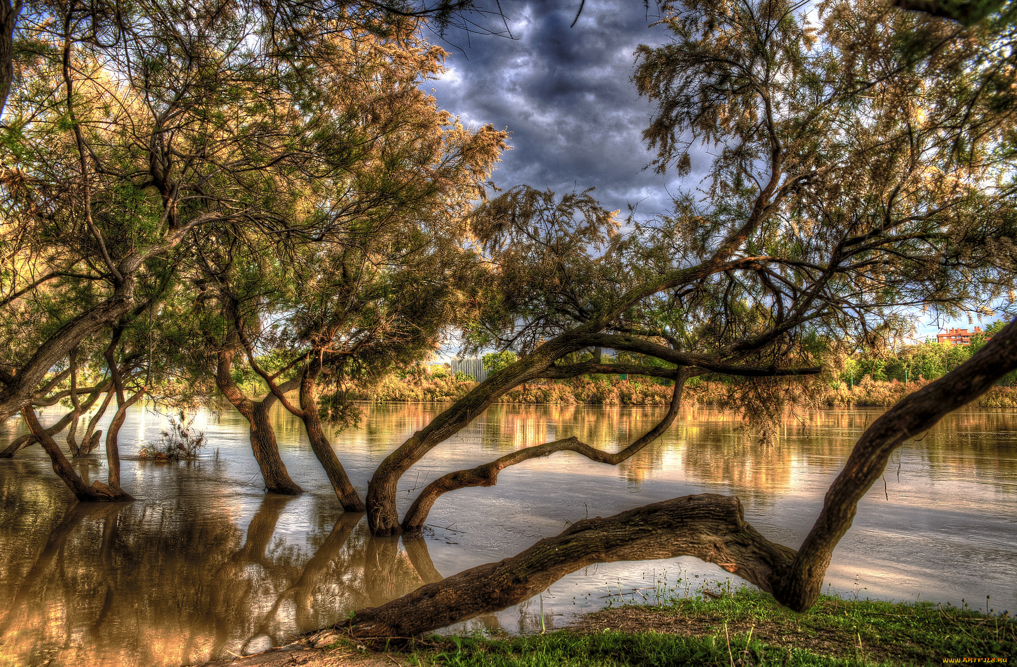 природа, радуга, река, лес