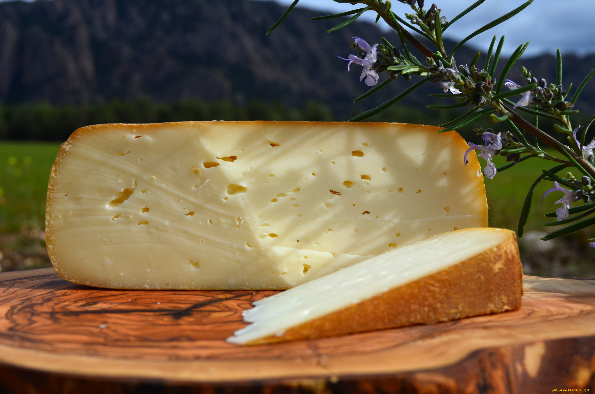 еда, сырные, изделия, сыр