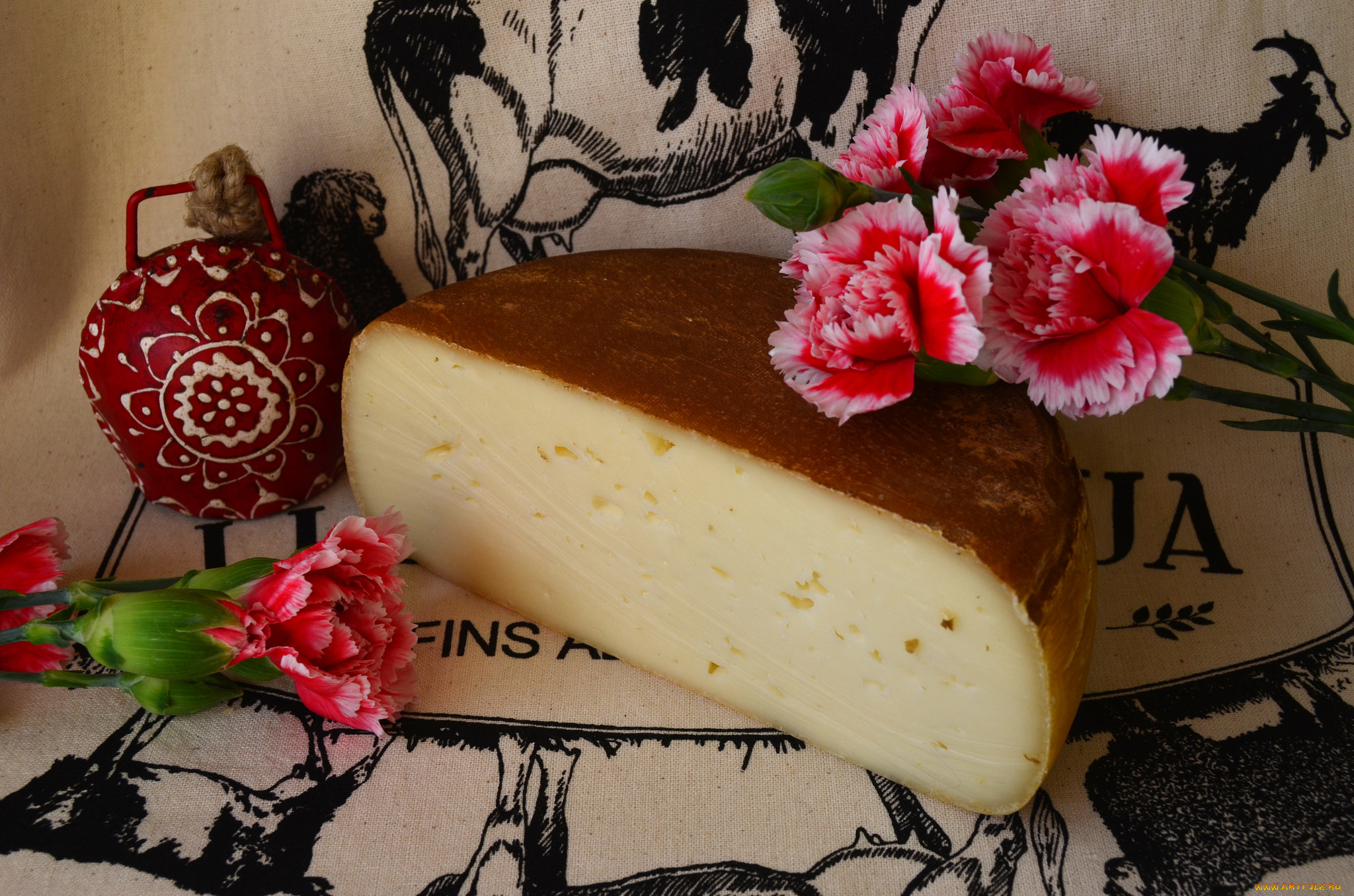 еда, сырные, изделия, сыр