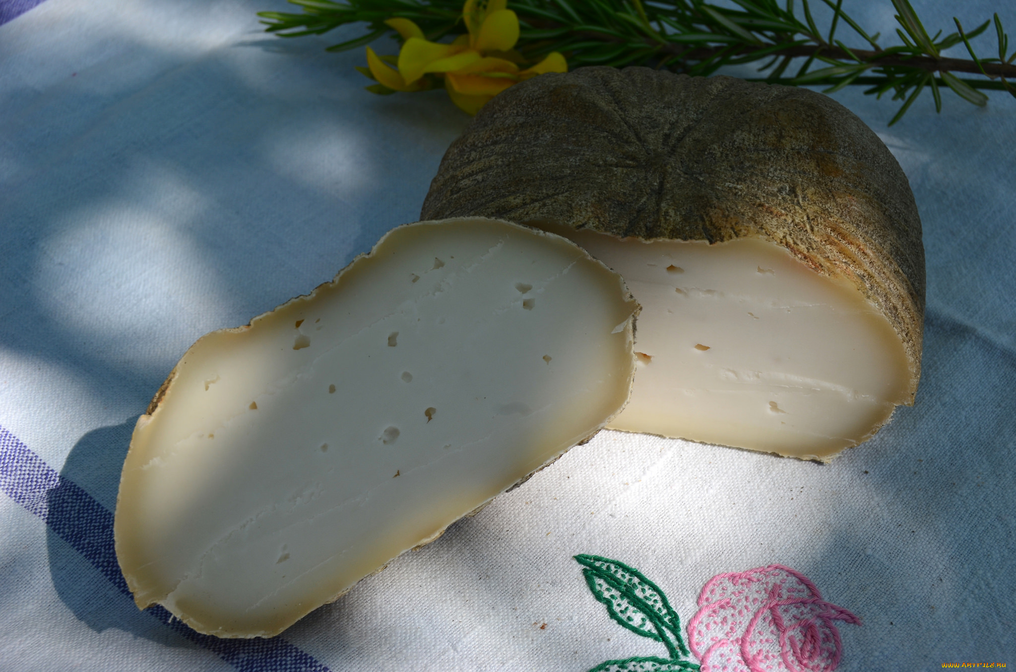 еда, сырные, изделия, сыр