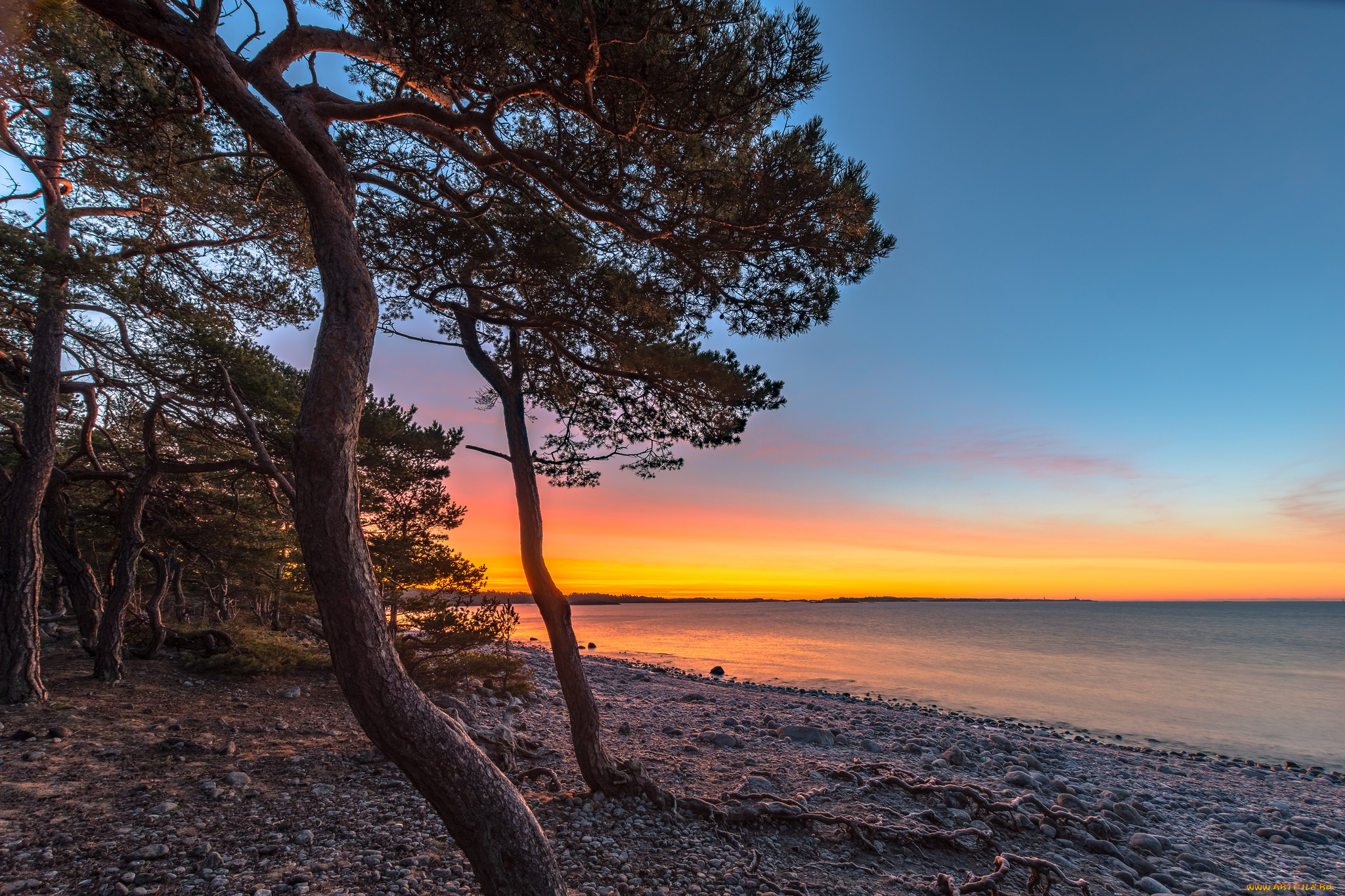 природа, побережье, море, берег