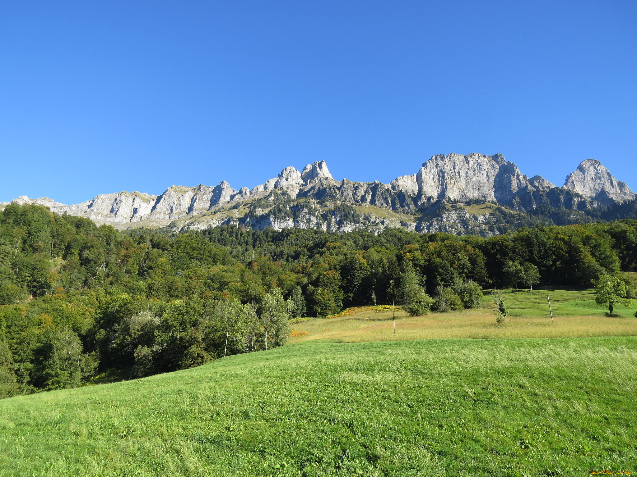 природа, пейзажи, лес, горы