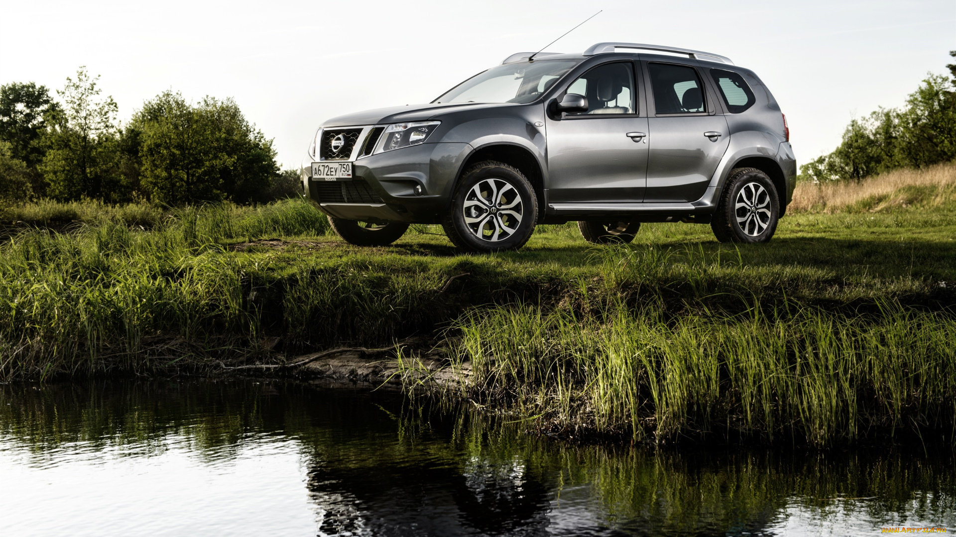 автомобили, nissan, datsun