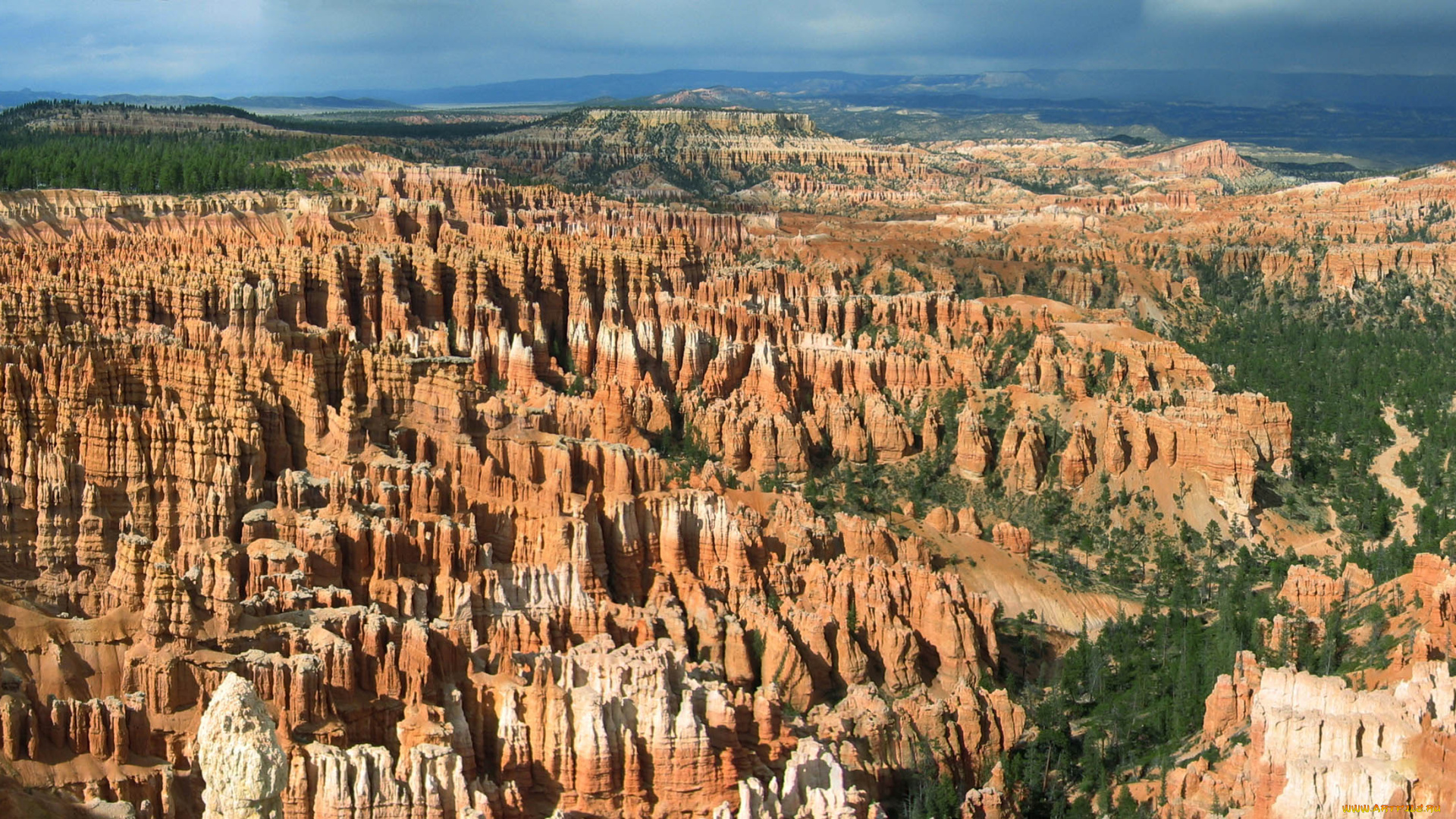 природа, горы, деревья, каньон, скалы