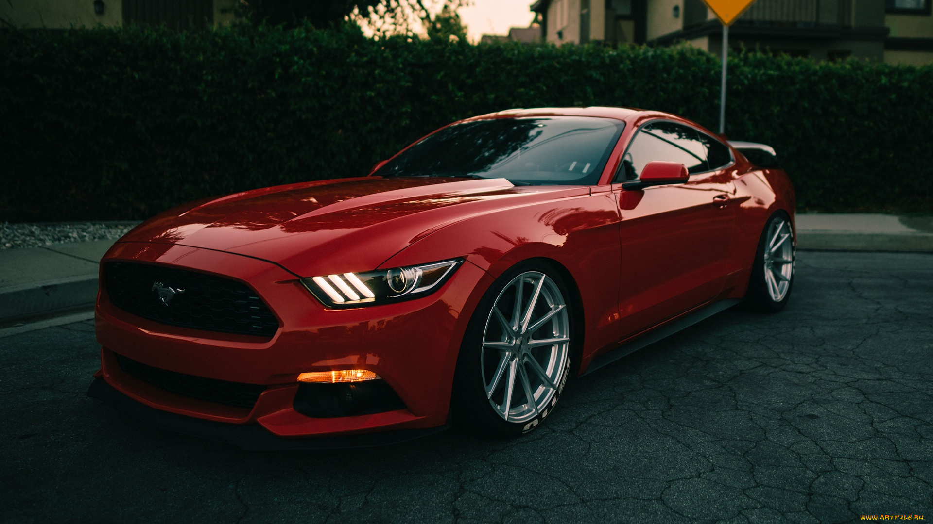 автомобили, mustang, ford