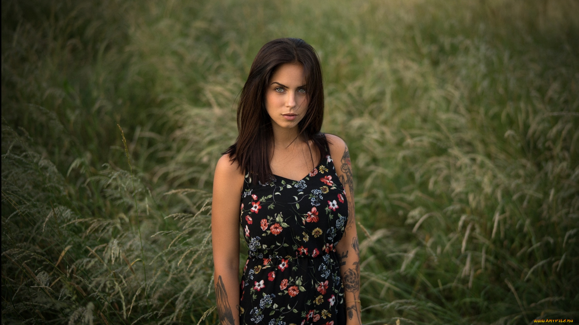 marlen, valderrama, alvarez, девушки, marlen, valderrama, alvare, alvarez, девушка, модель, брюнетка, красотка, красавица, поза, сексуальная, взгляд, причёска, макияж