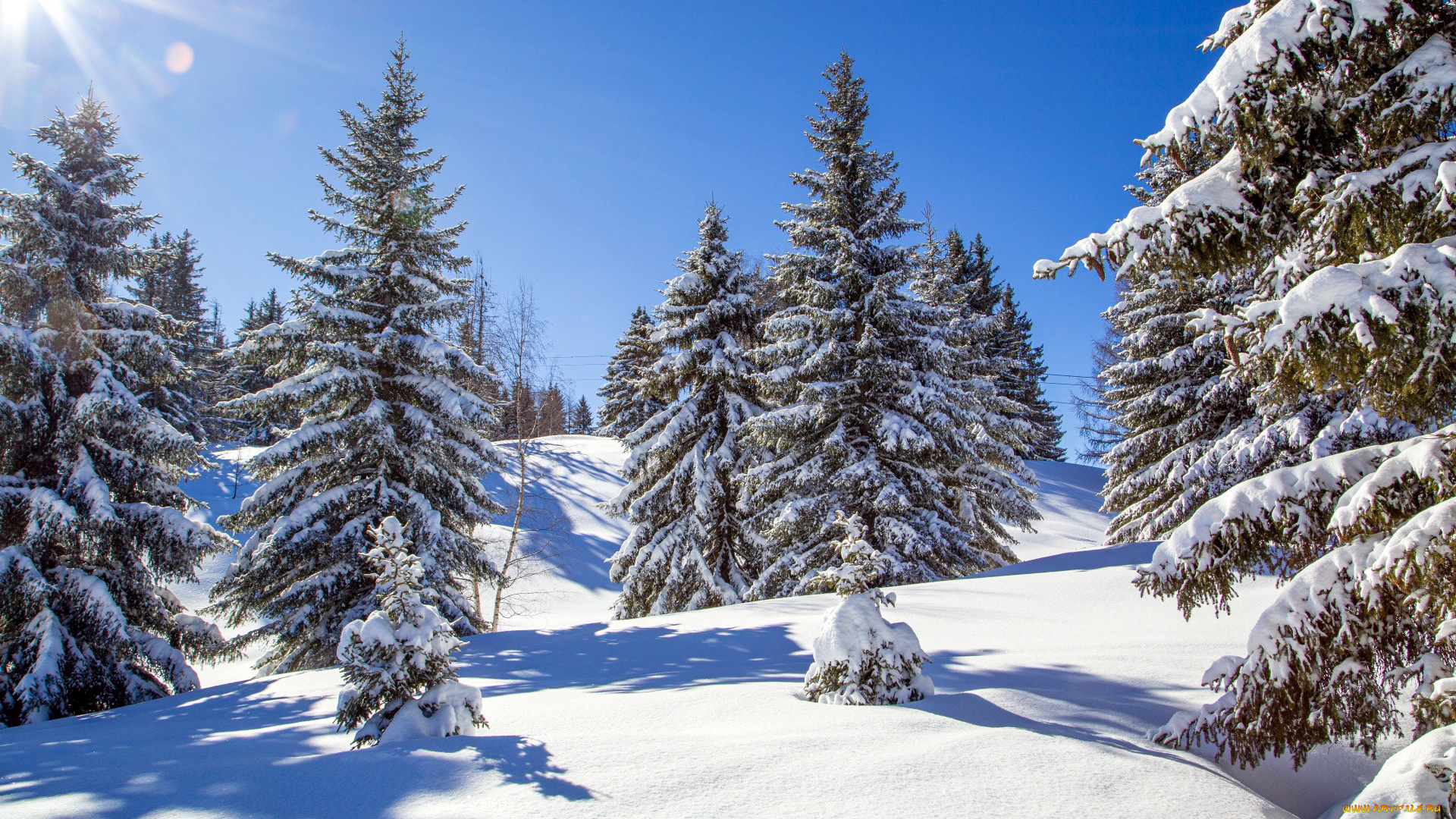 природа, зима, снег, сугробы