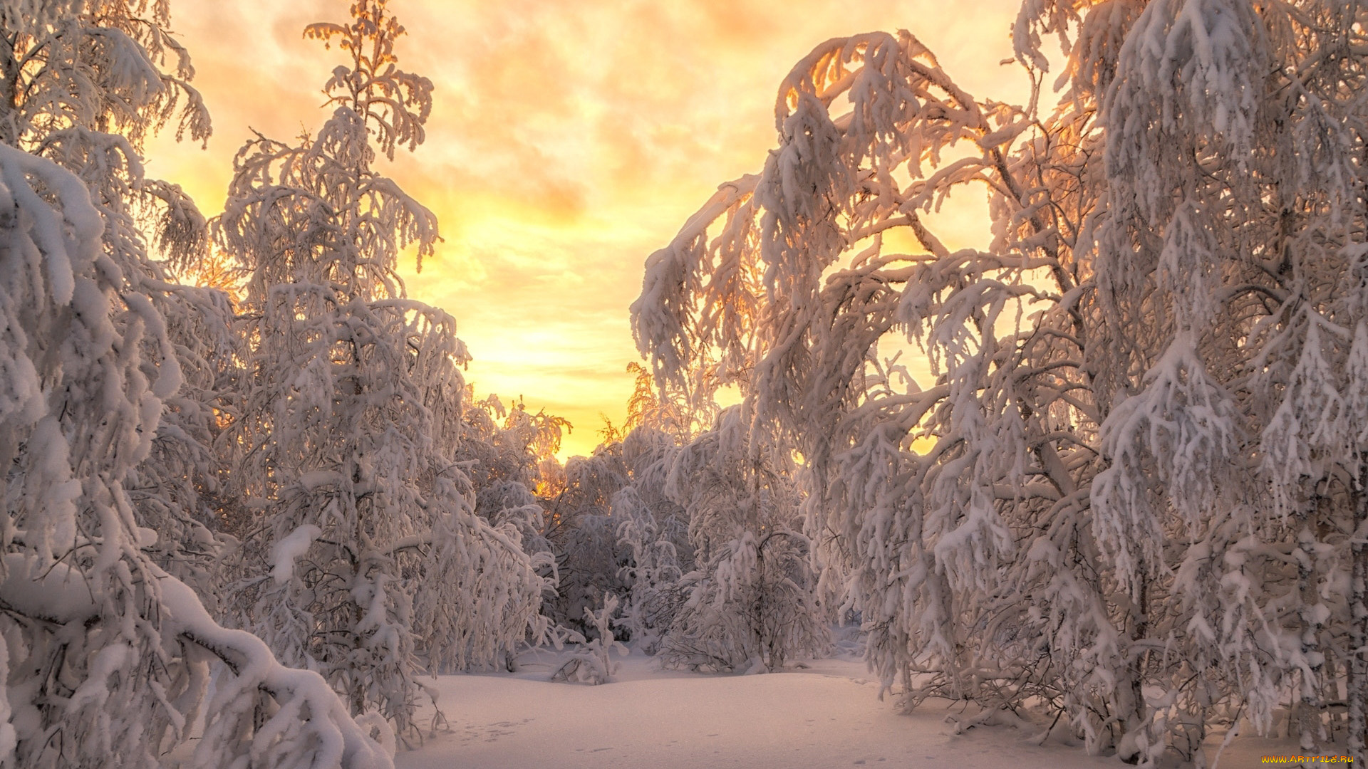 природа, зима, снег, сугробы