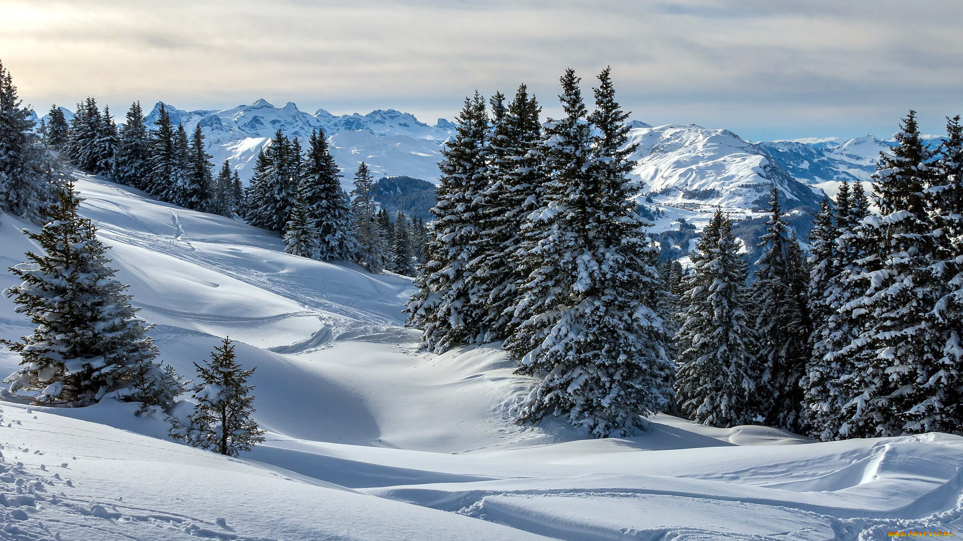 природа, зима, снег, сугробы