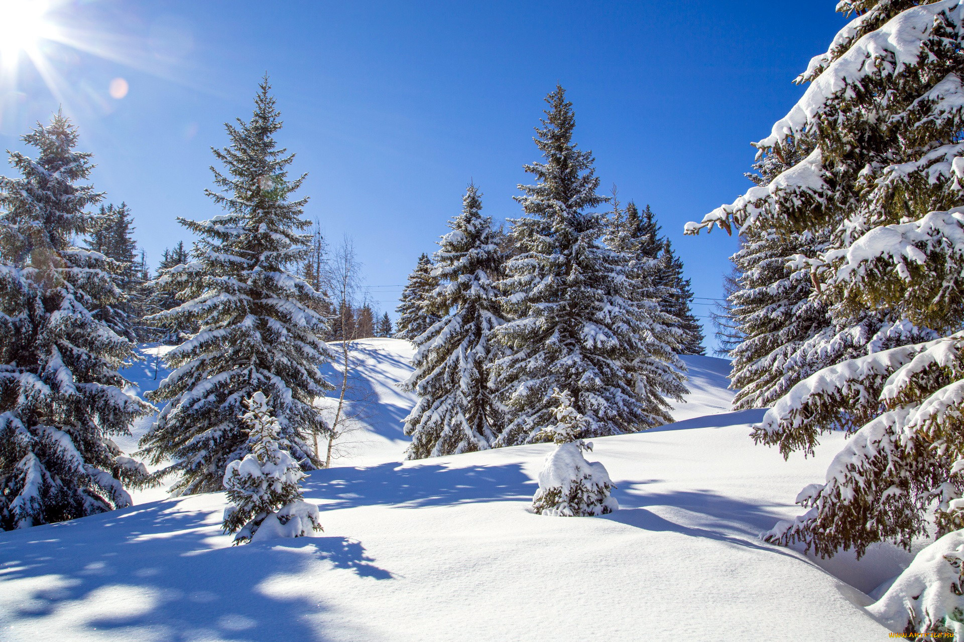 природа, зима, снег, сугробы