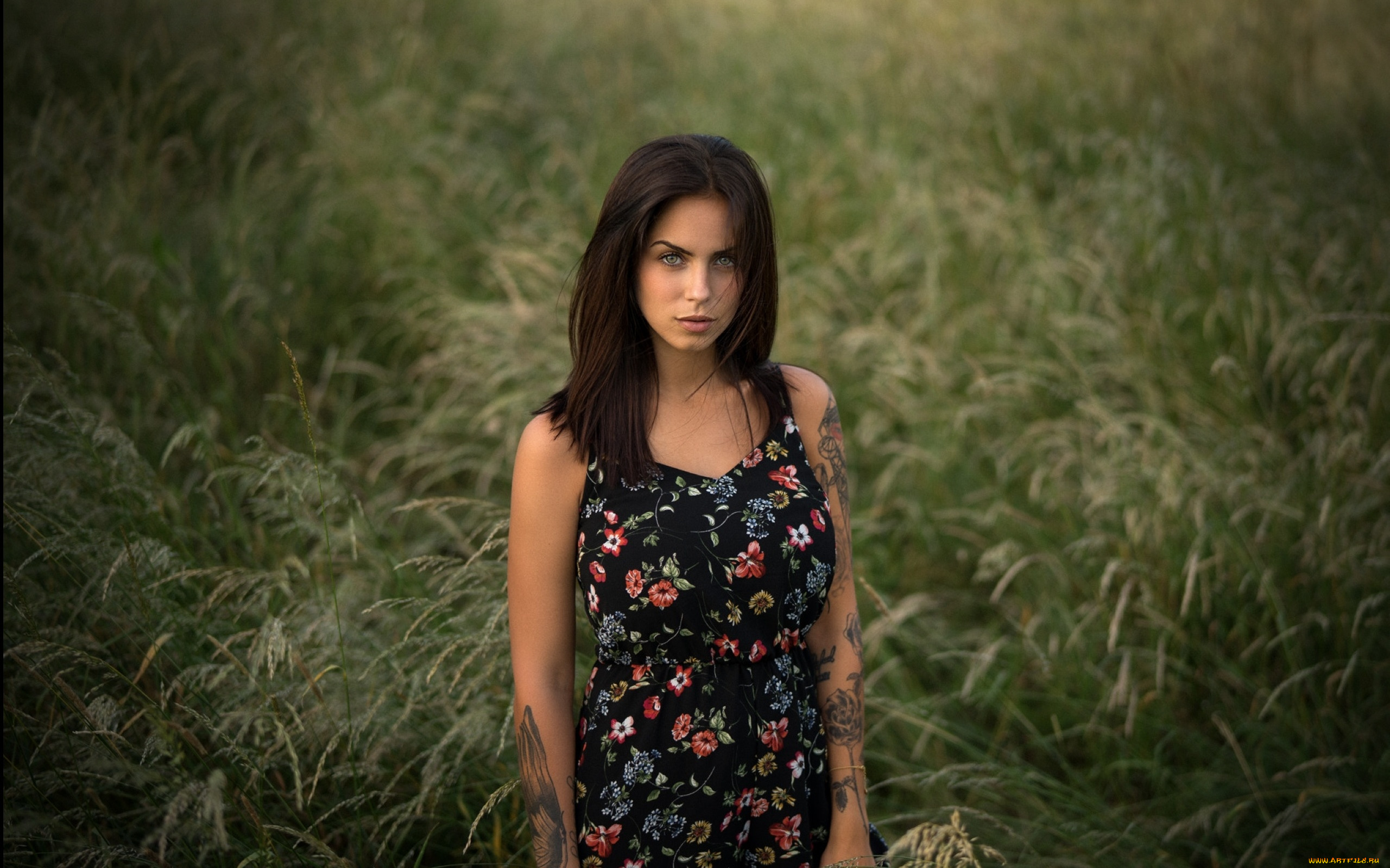 marlen, valderrama, alvarez, девушки, marlen, valderrama, alvare, alvarez, девушка, модель, брюнетка, красотка, красавица, поза, сексуальная, взгляд, причёска, макияж