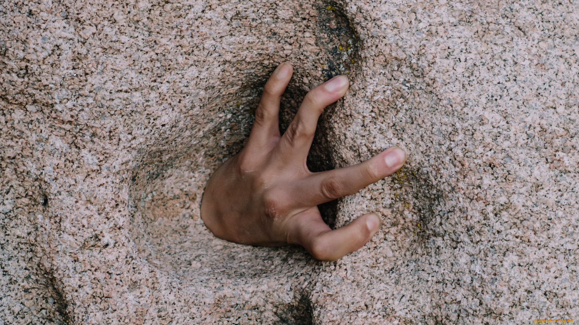 разное, руки, , ноги, рука, пальцы